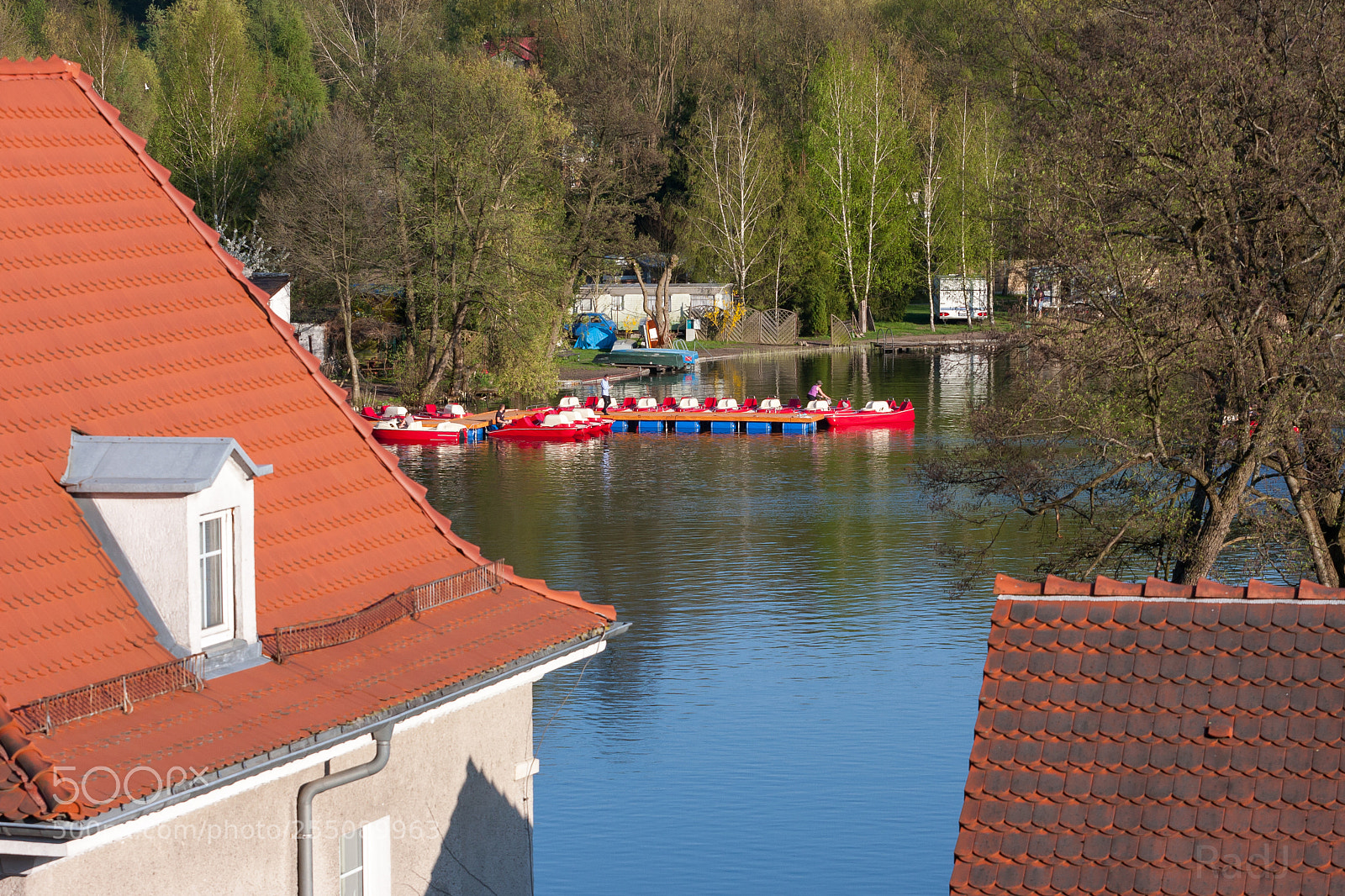 Canon EOS 40D sample photo. Roofs and harbor photography