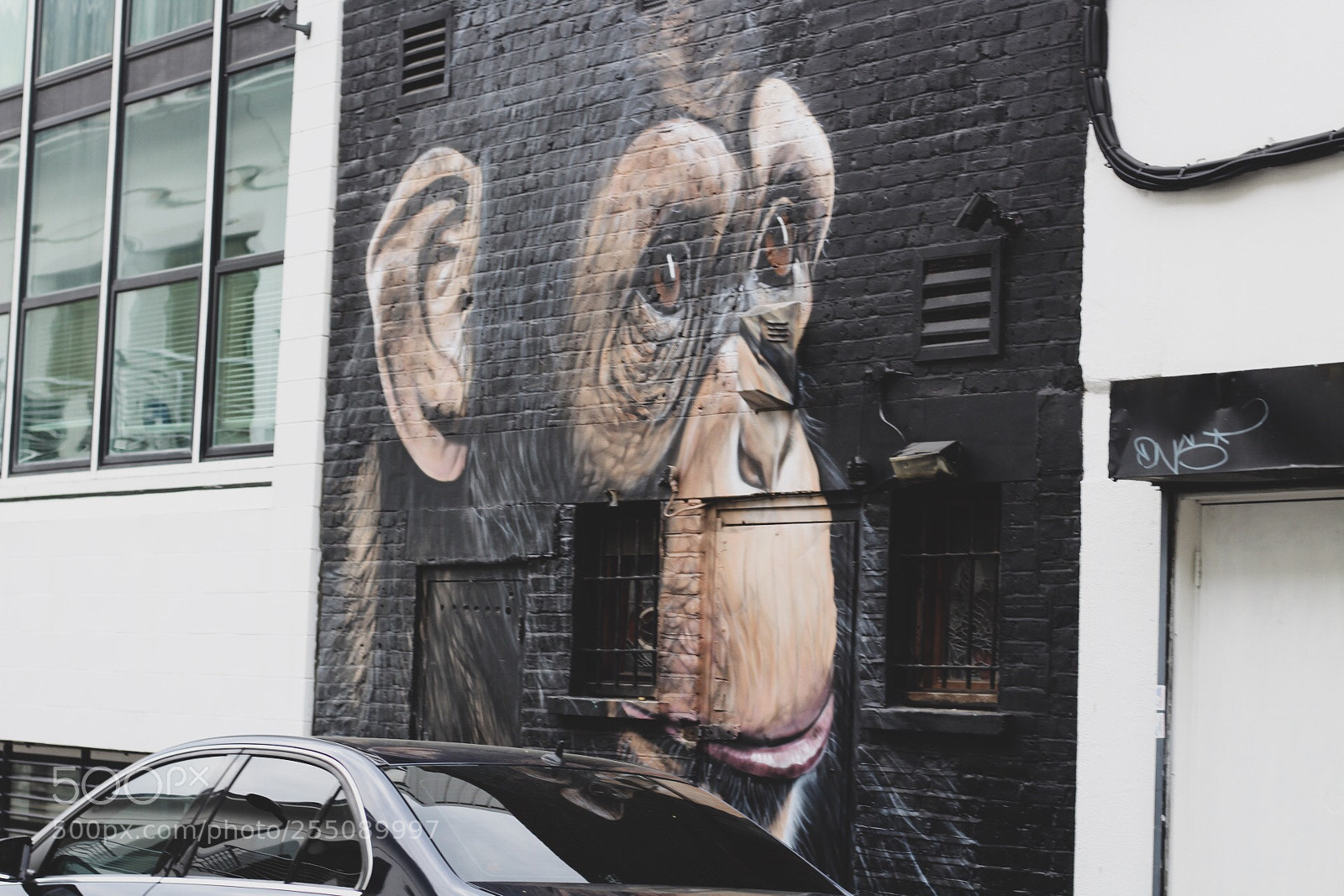 Canon EOS 1300D (EOS Rebel T6 / EOS Kiss X80) sample photo. Monkey street art photography
