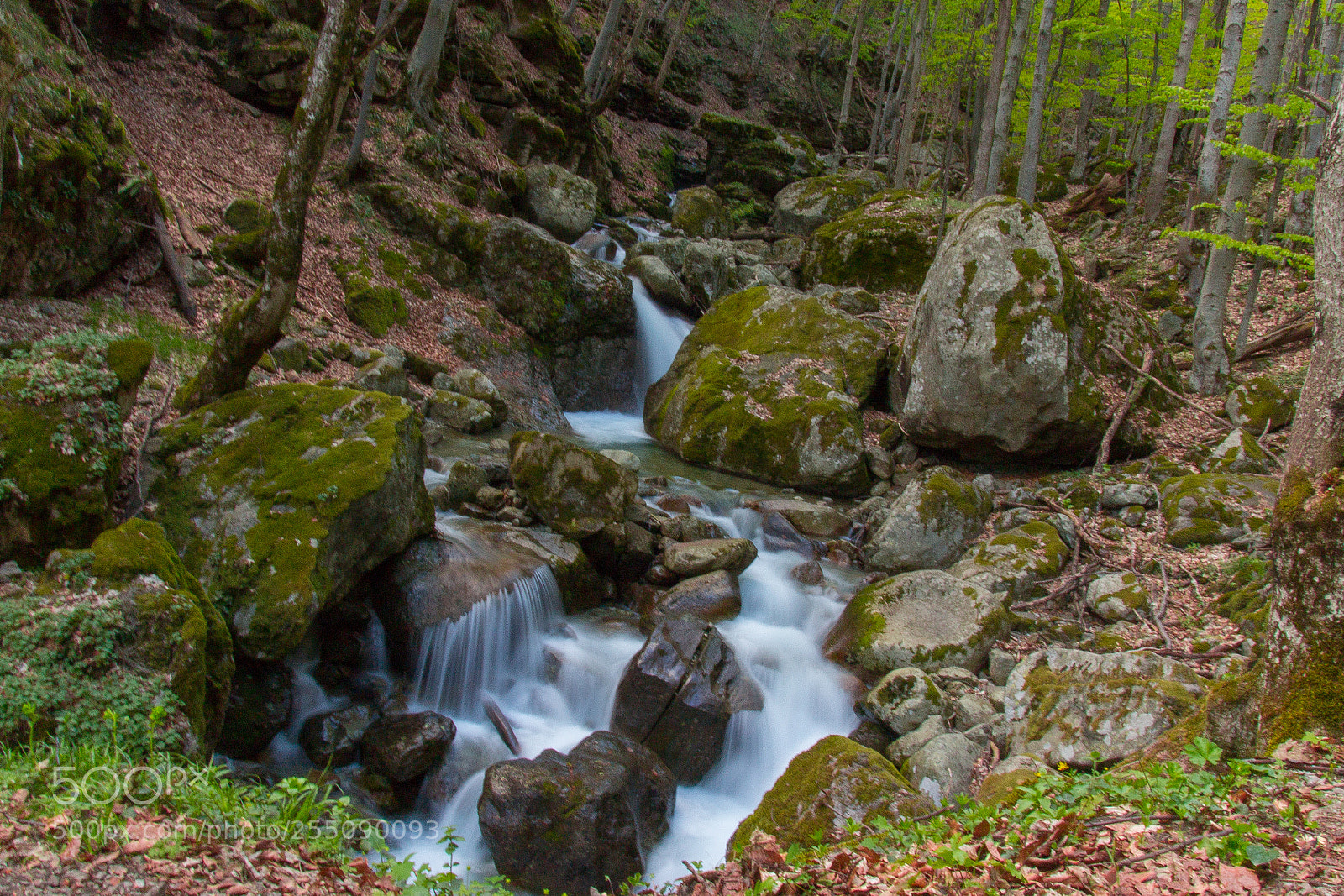 Canon EOS 100D (EOS Rebel SL1 / EOS Kiss X7) sample photo. Crazy stream photography