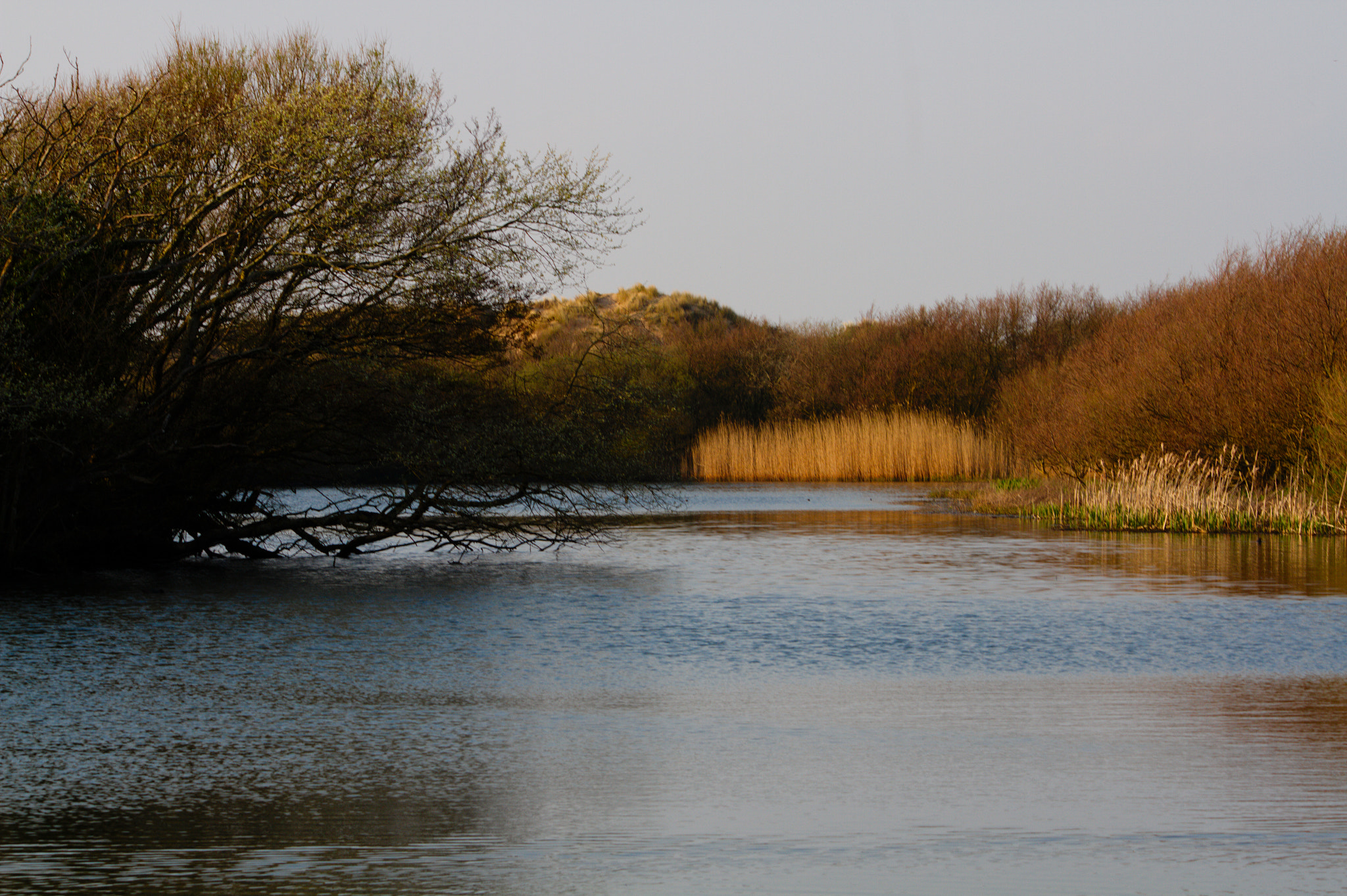 Canon EF-S 55-250mm F4-5.6 IS II sample photo. Sands lake photography