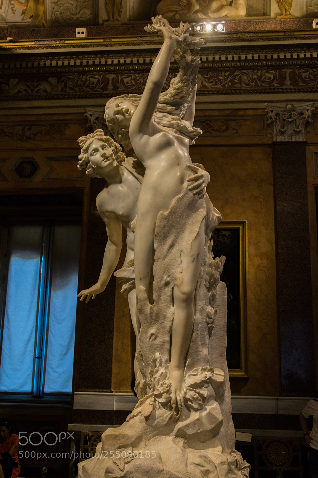 Nikon D5300 sample photo. Apollo e daphne photography