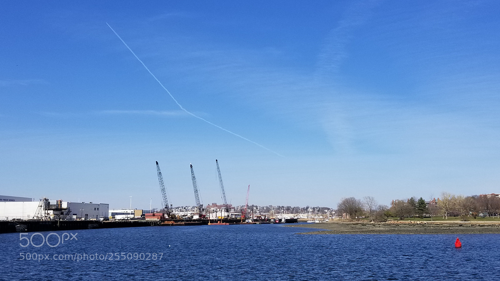 Samsung Galaxy S8 sample photo. They're pointing somewhere photography