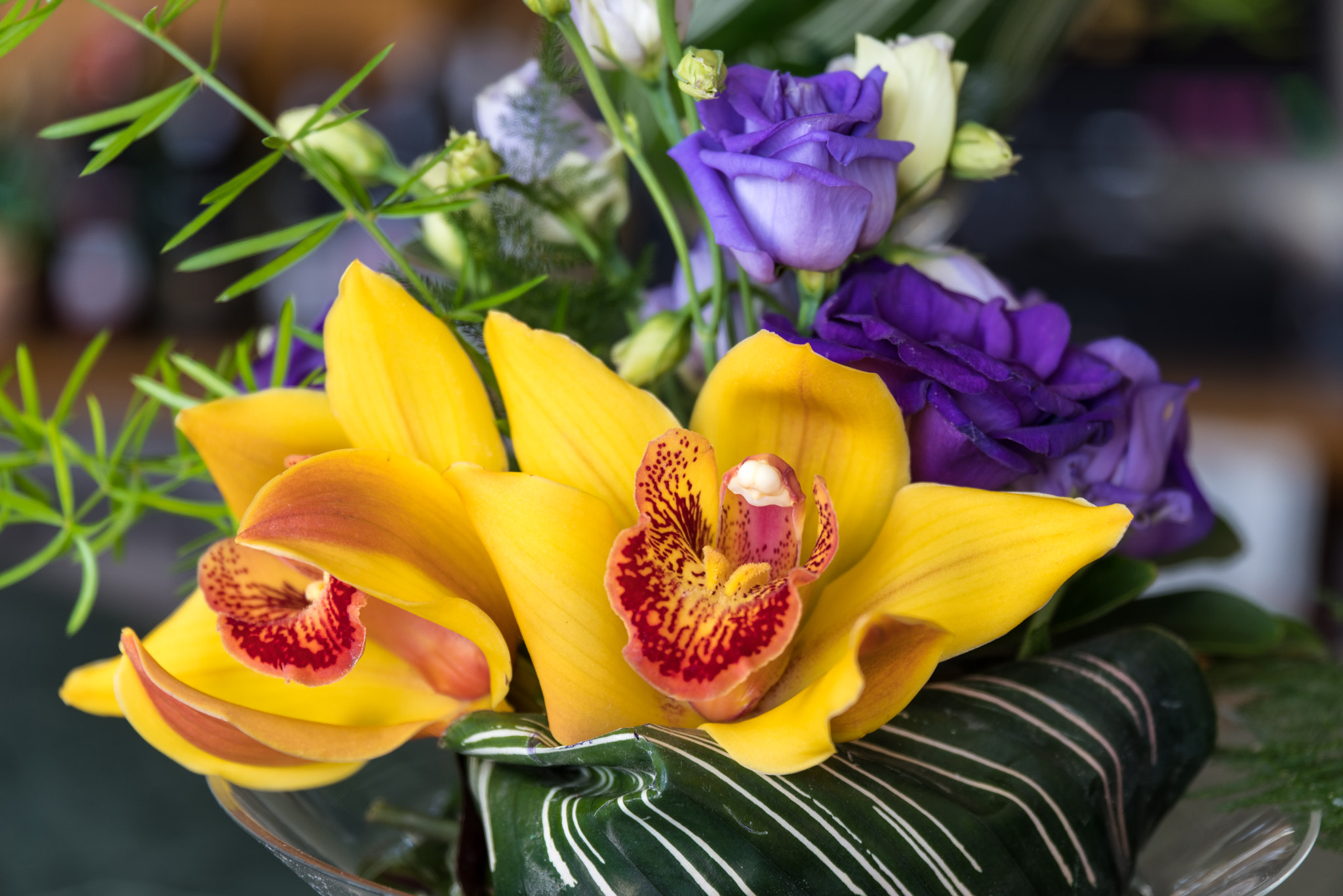Pentax K-1 sample photo. Madeira flowers photography