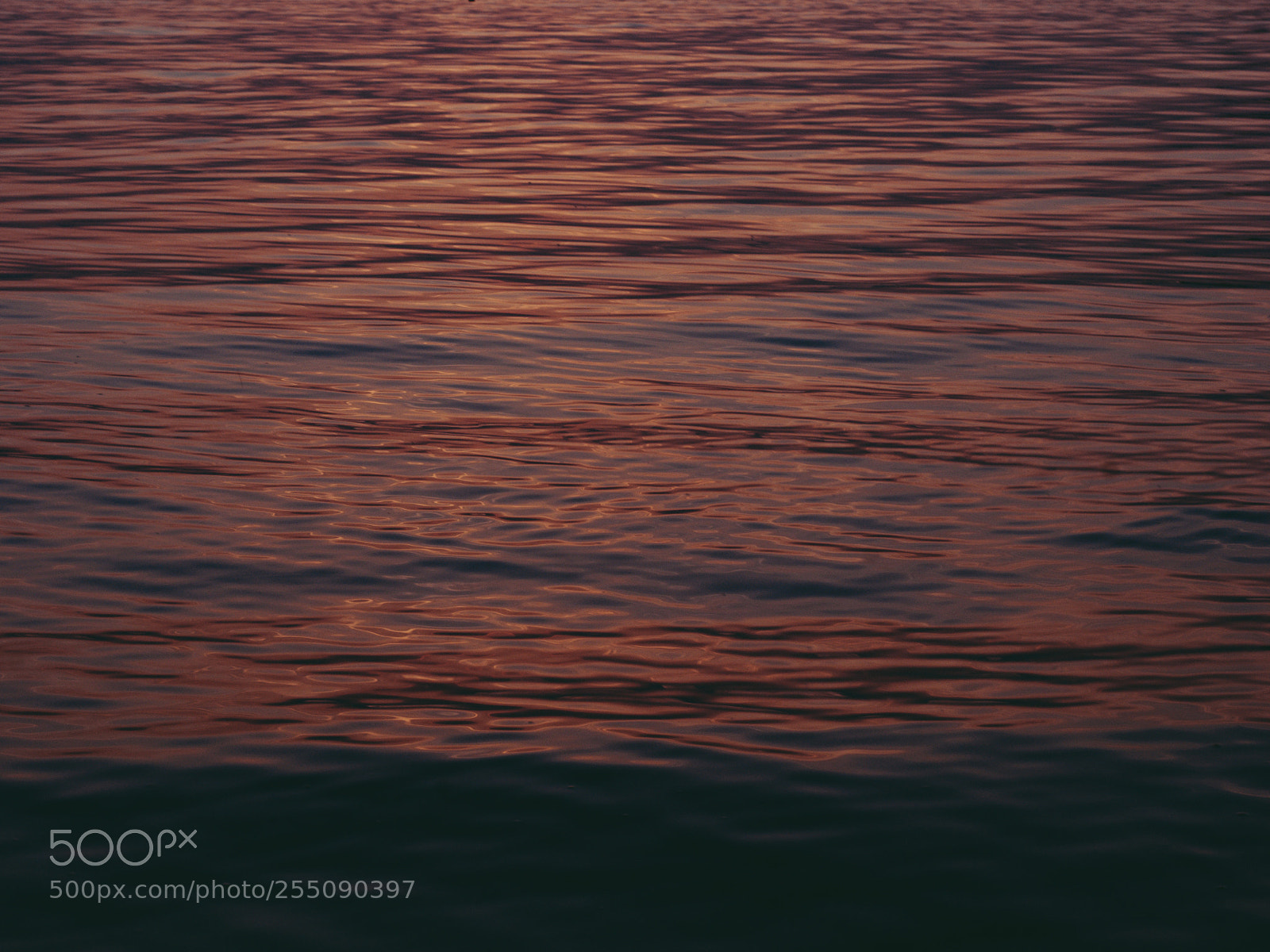 Nikon D3000 sample photo. Sunset photography