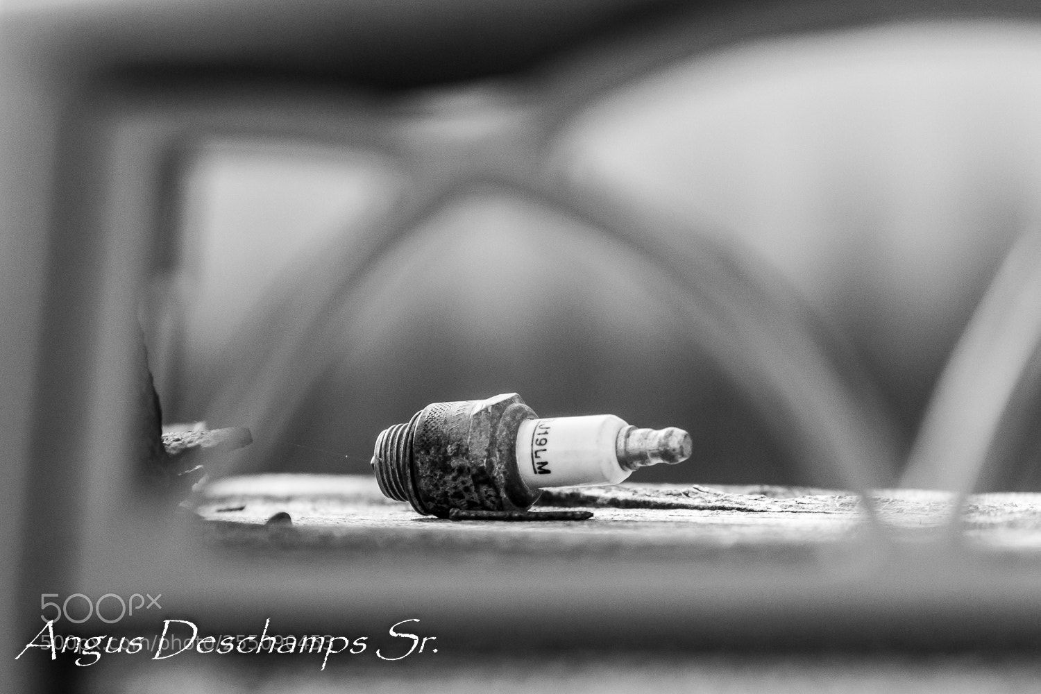 Canon EOS 70D sample photo. Plug photography