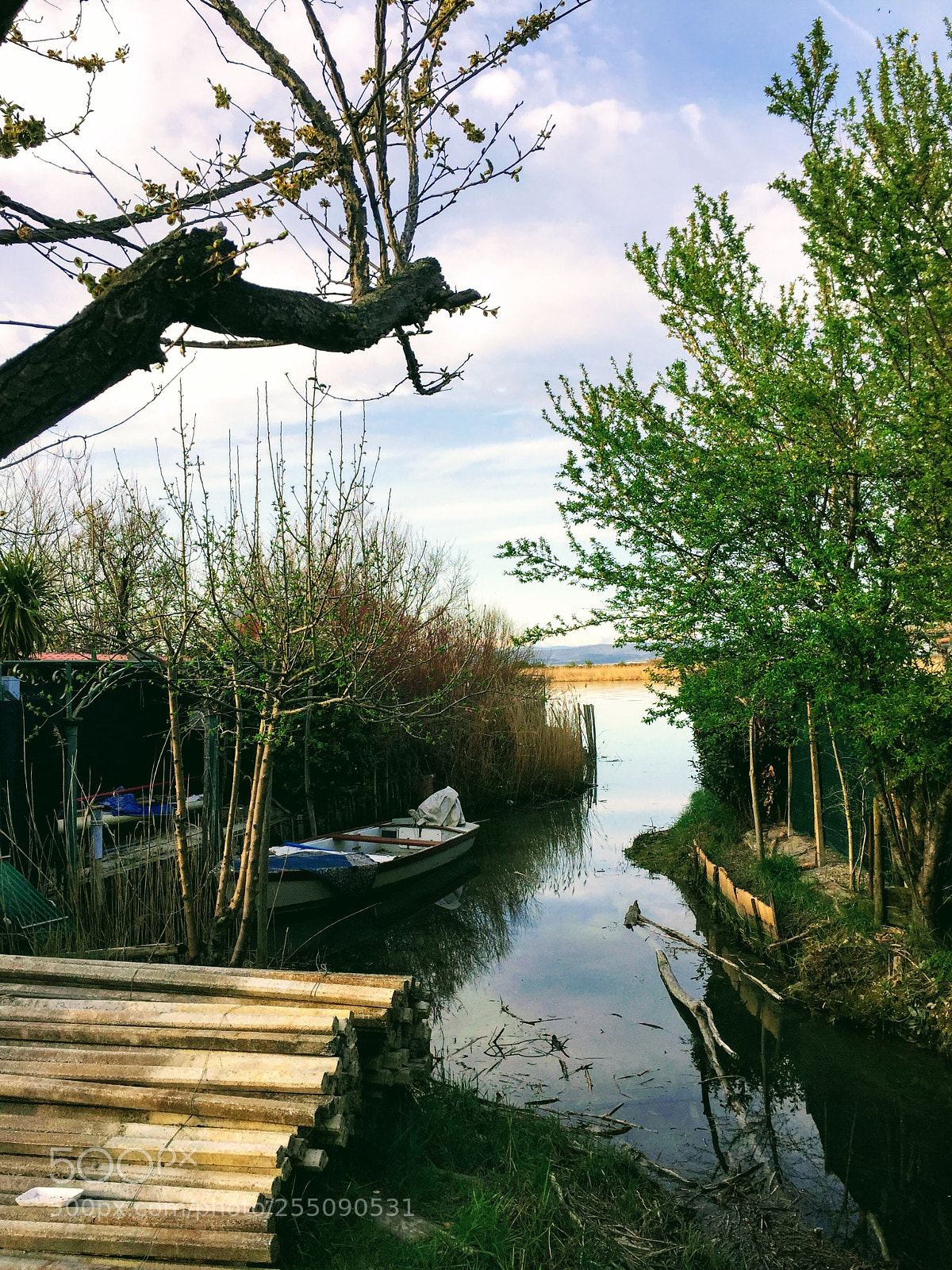 Apple iPhone 6 sample photo. Punta sdobba  photography