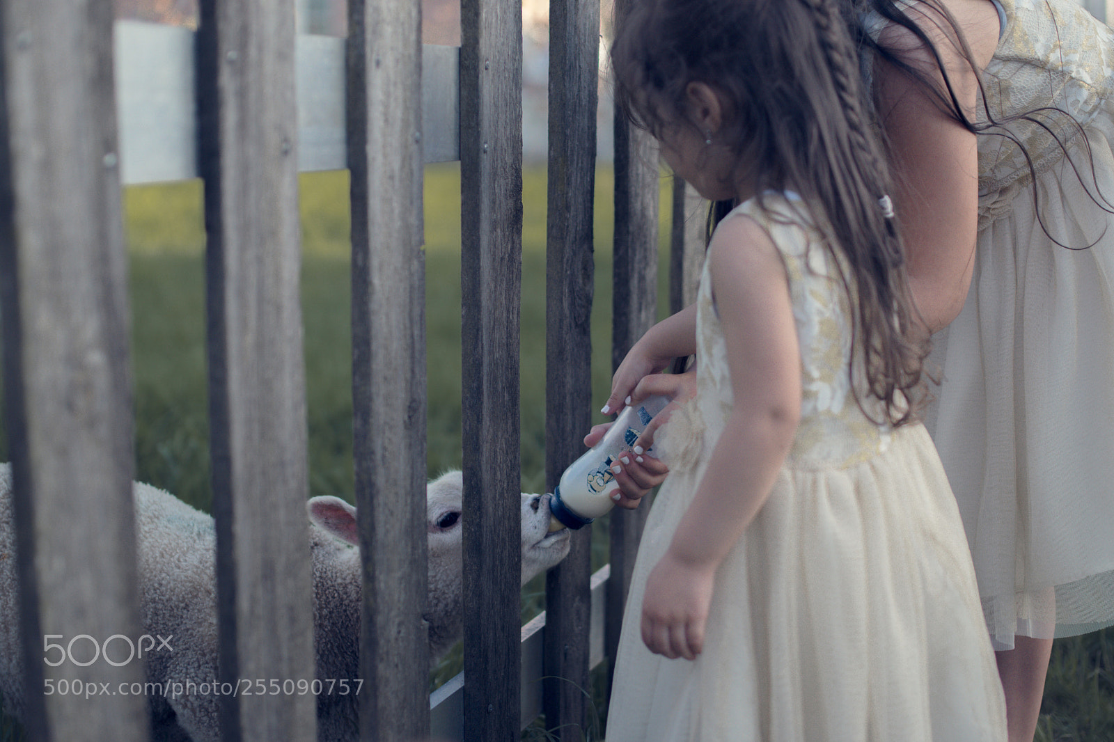 Nikon D5300 sample photo. Untitled photography
