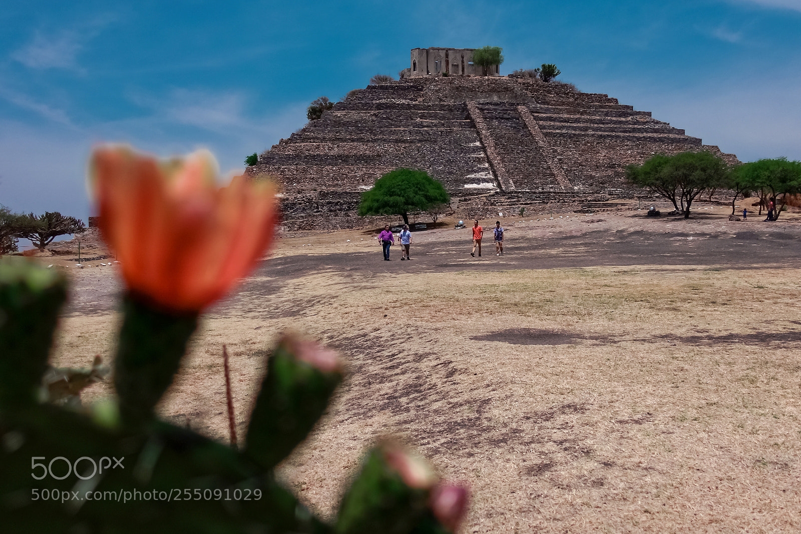 Sony DSC-RX100M5 sample photo. Piramide tolteta photography