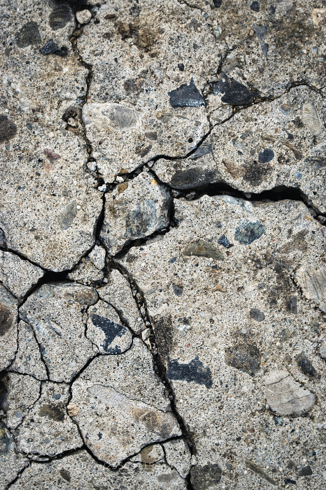Nikon D5500 sample photo. Cracked old dirty concrete photography