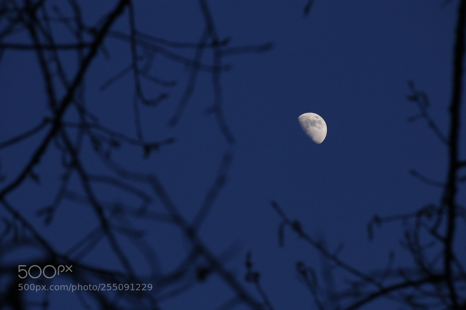 Canon EF-S 18-200mm F3.5-5.6 IS sample photo. Night moon photography