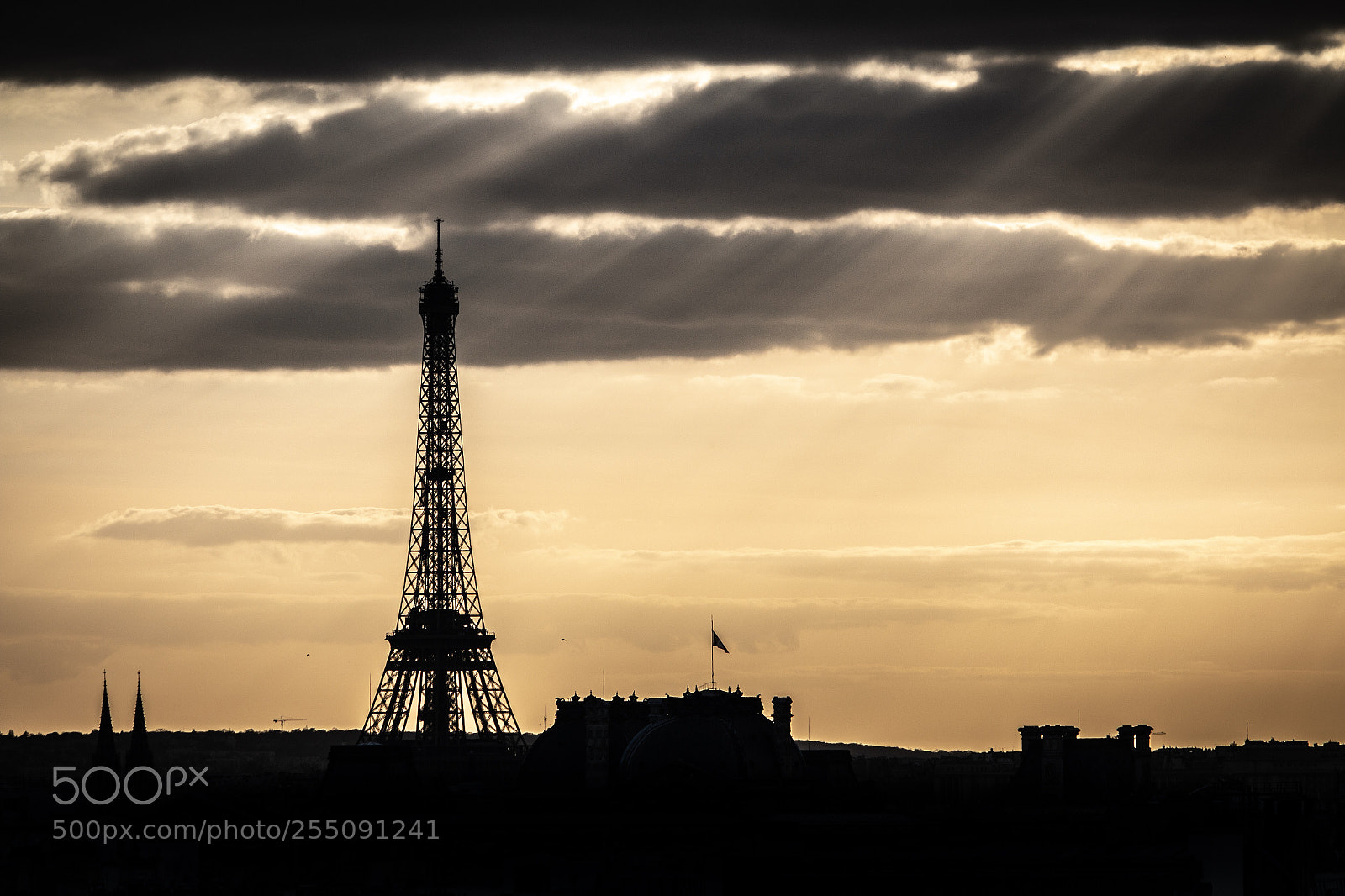 Canon EOS 70D sample photo. La dame de fer photography