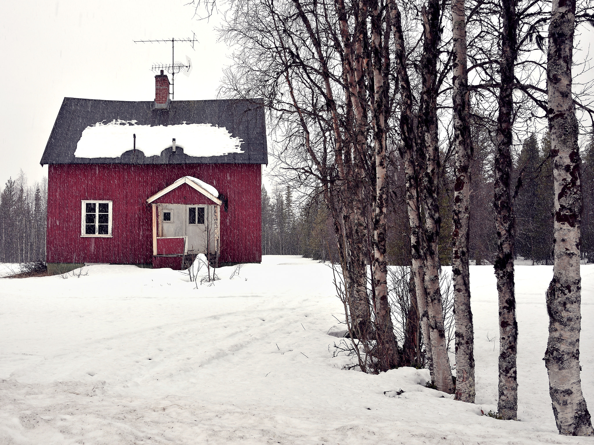 Tamron SP 35mm F1.8 Di VC USD sample photo. Lapland noir photography