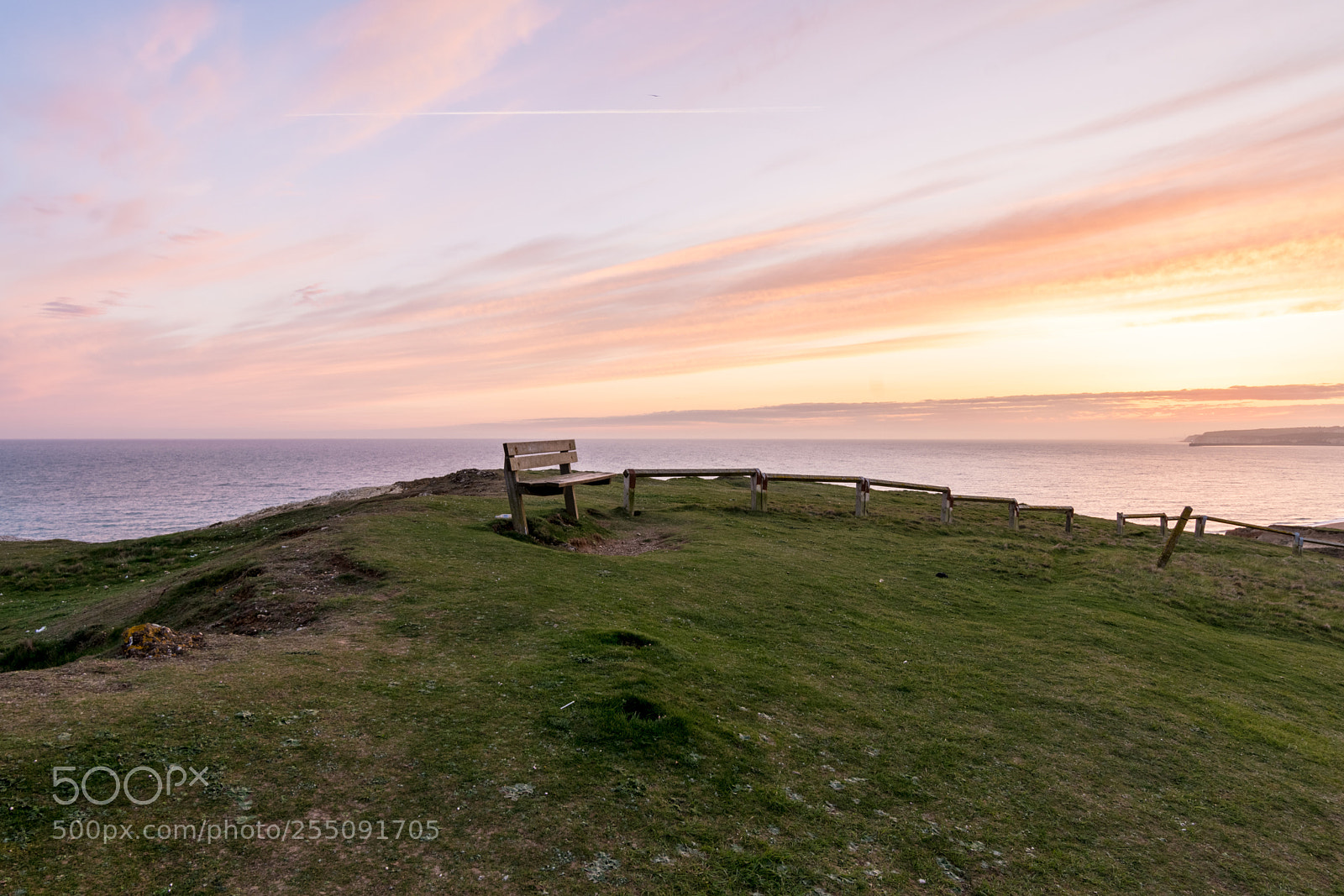 Nikon D5300 sample photo. Contemplation spot photography