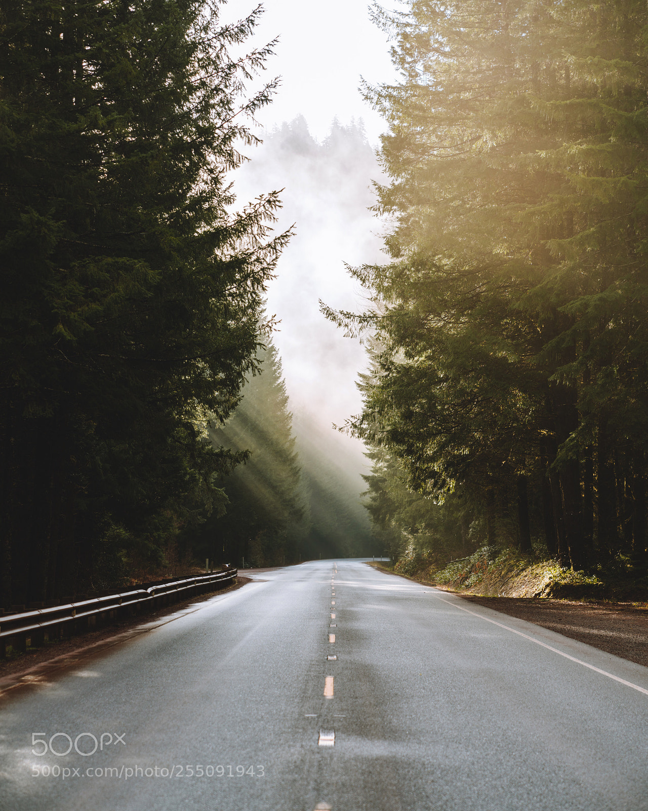 Sony a7R II sample photo. Roads of gold. photography