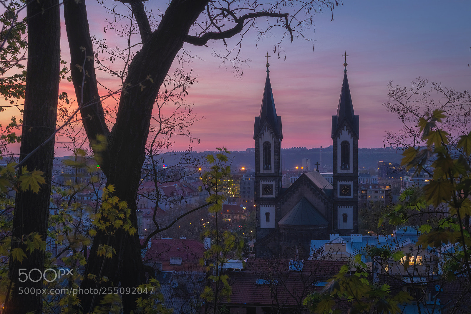 Canon EOS 80D sample photo. Karlin under purple sky photography