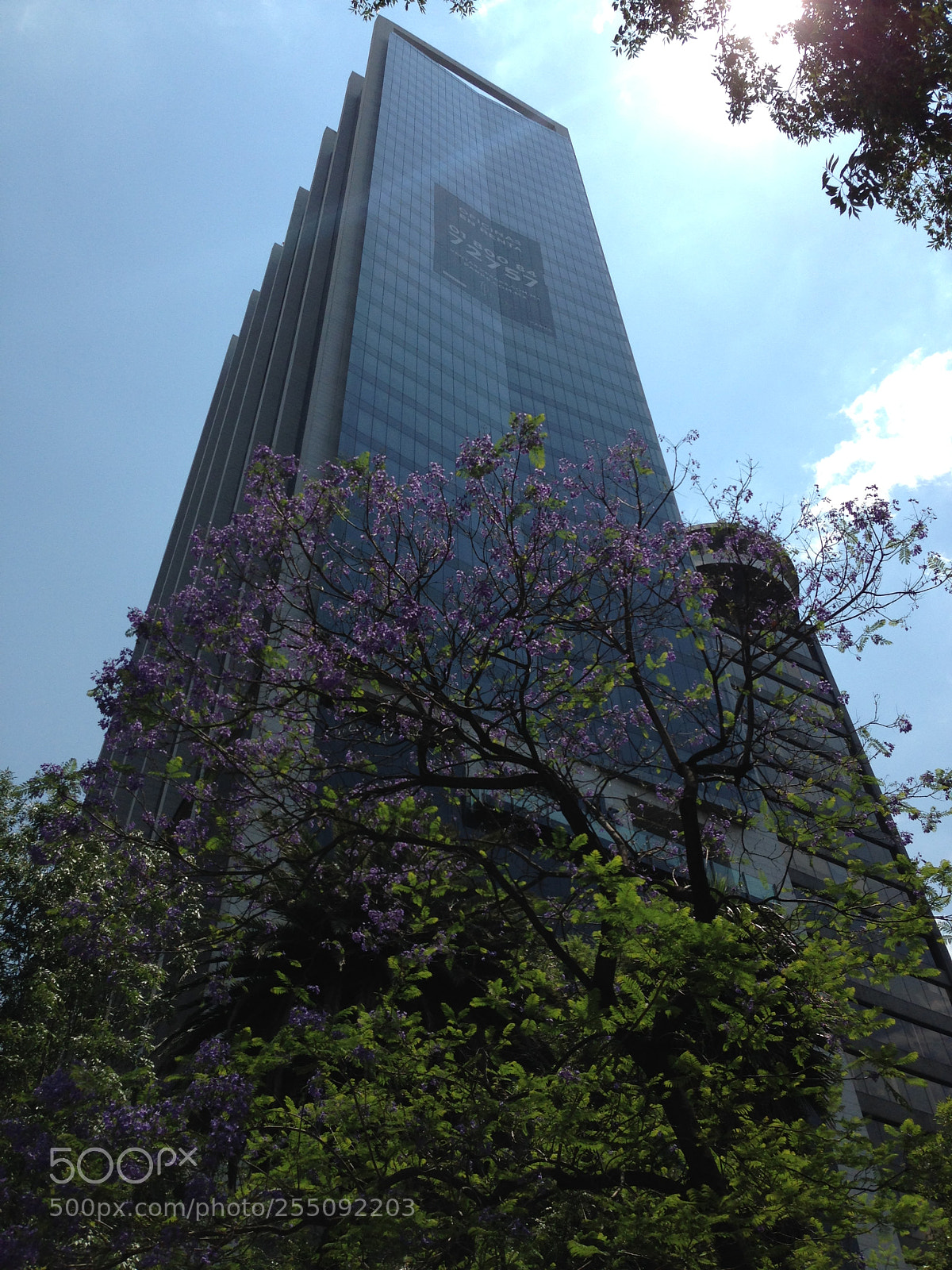Apple iPhone 5c sample photo. Latino tower photography