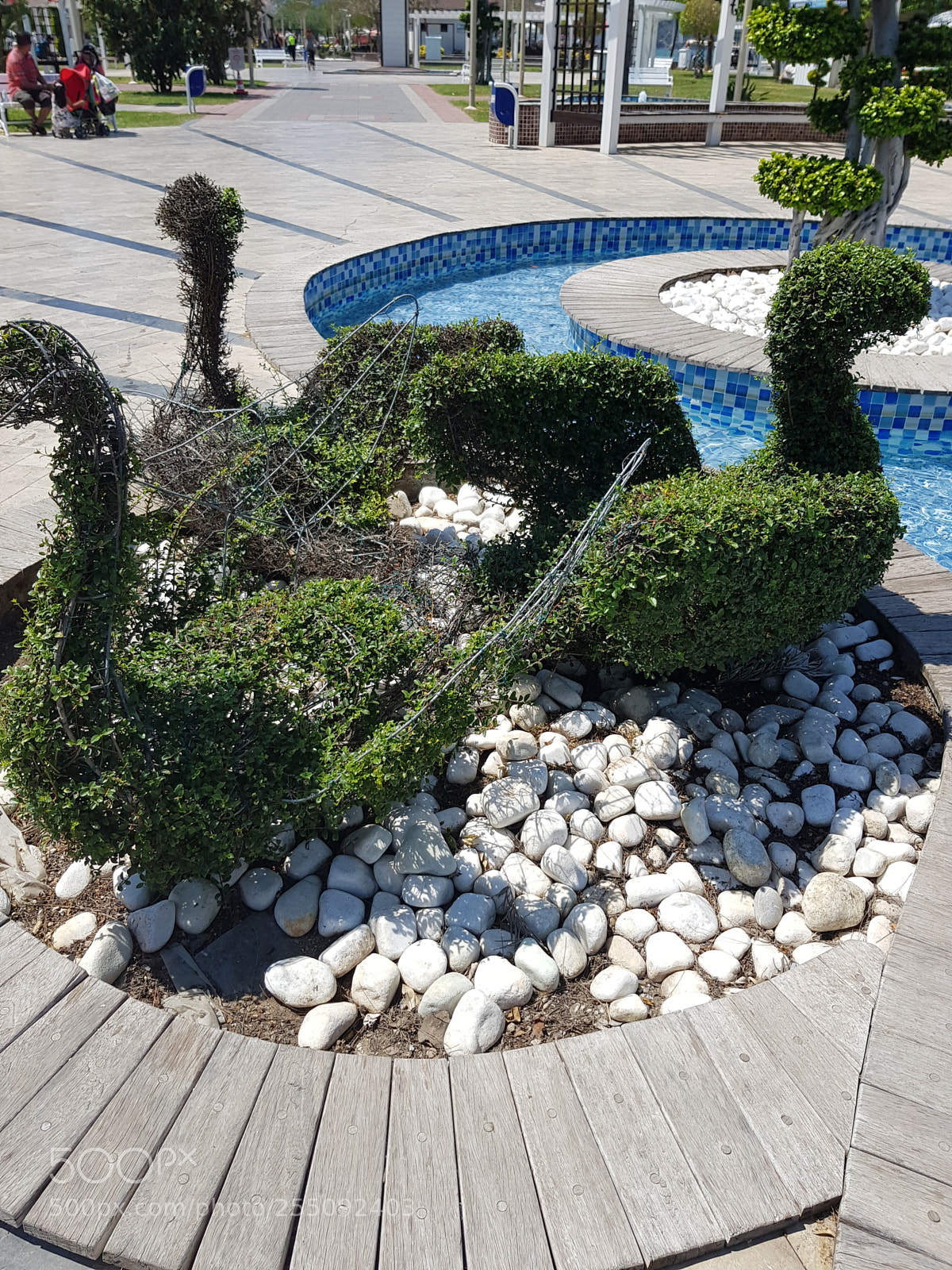 Samsung Galaxy S8 sample photo. Grass ducks. photography