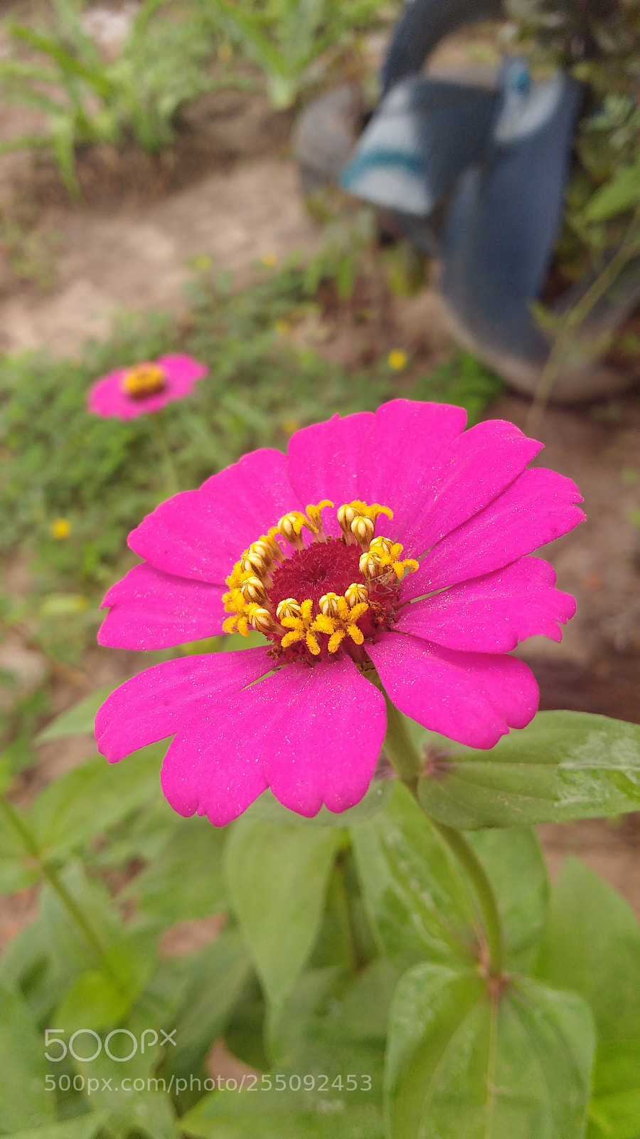 Motorola MotoG3 sample photo. Img_20180424_090156758.jpg photography
