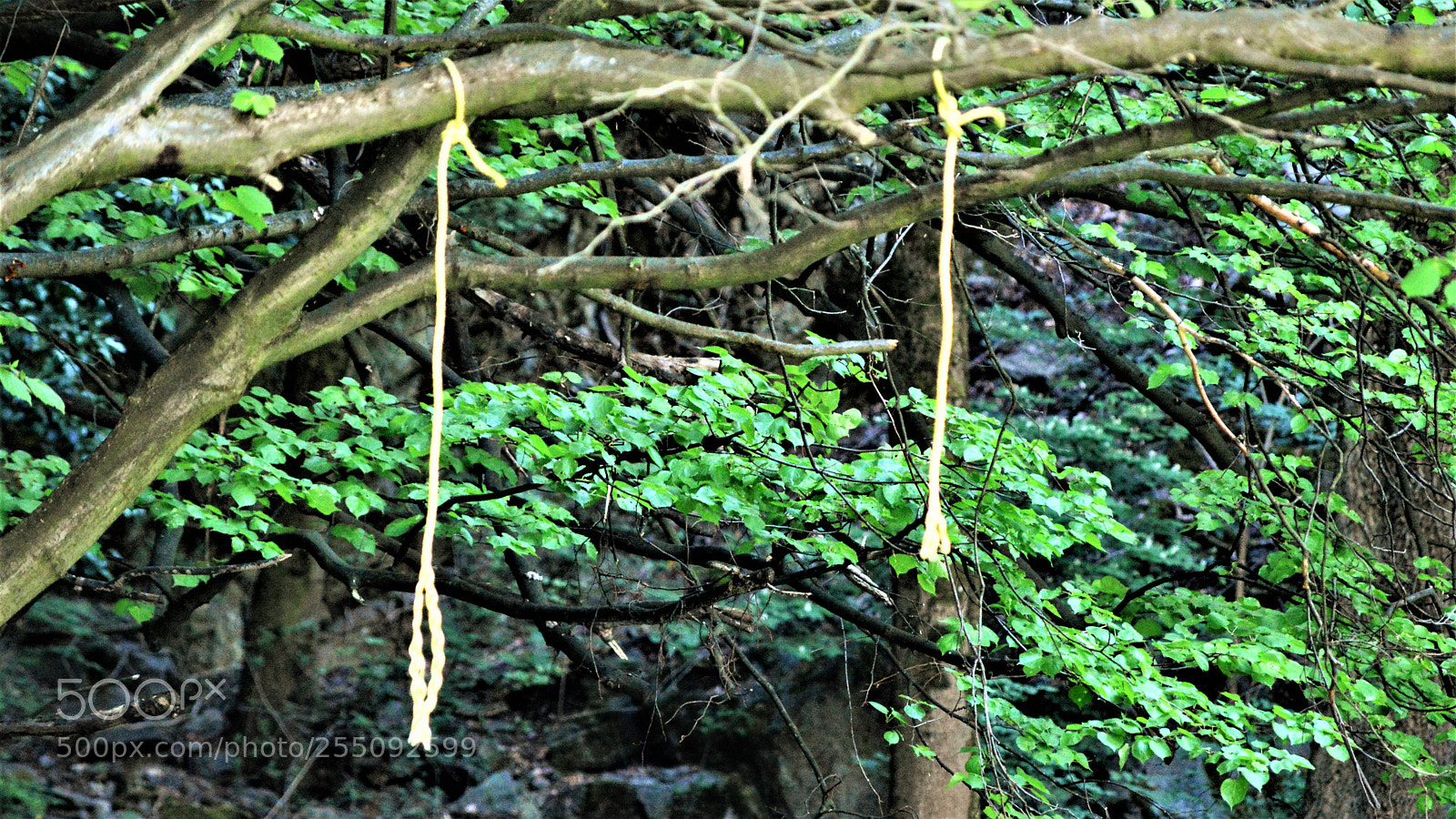 Nikon D3200 sample photo. Untitled photography