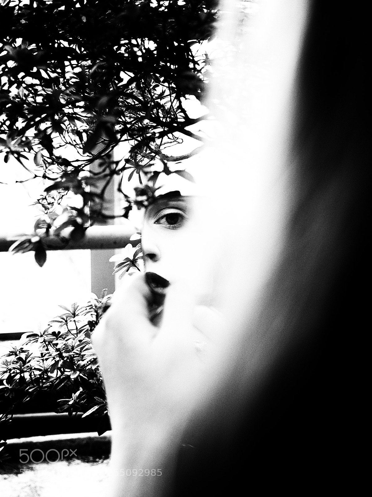 Olympus OM-D E-M1 sample photo. Jardin noir photography