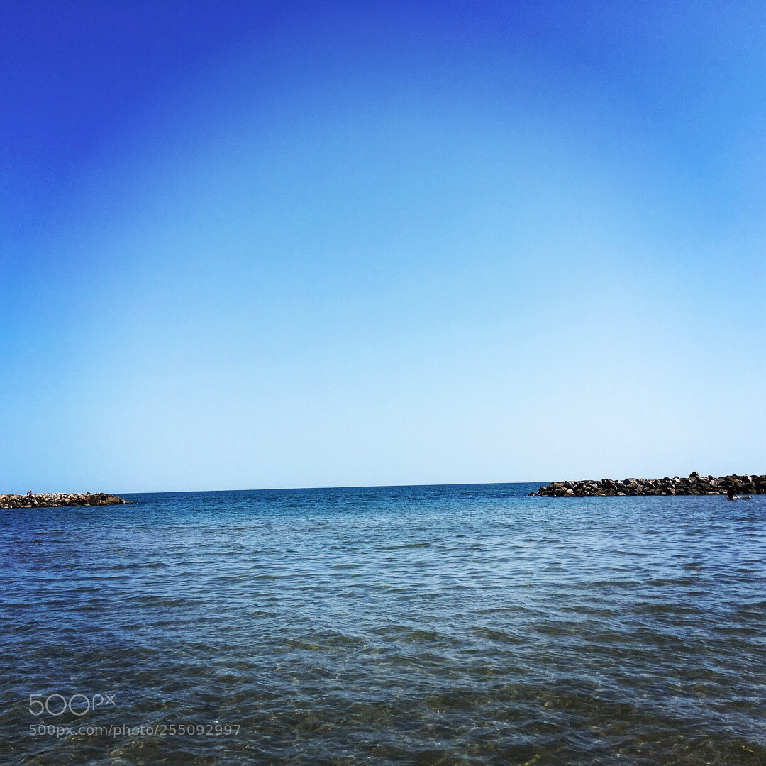 Apple iPhone SE sample photo. Untitled photography