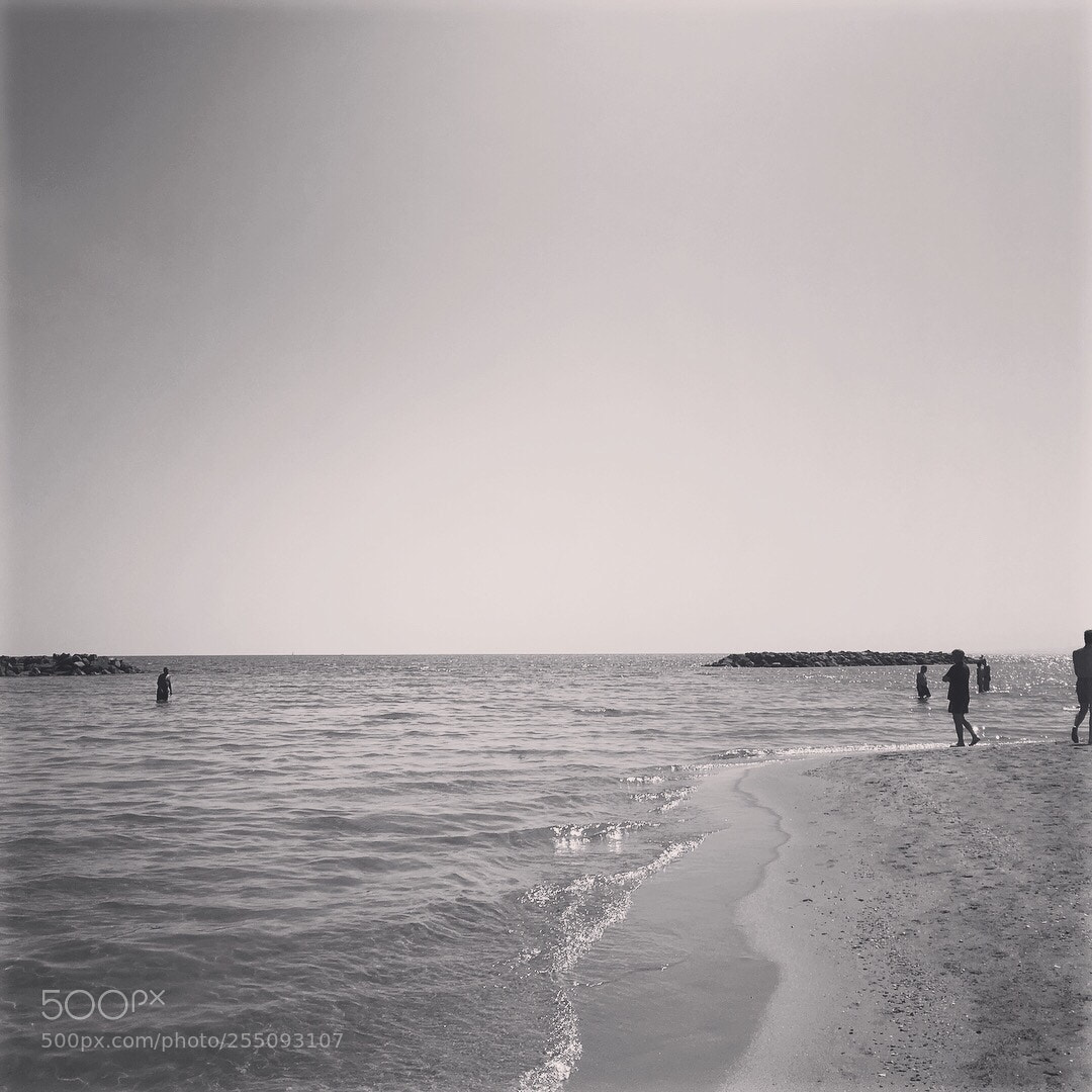 Apple iPhone SE sample photo. Untitled photography