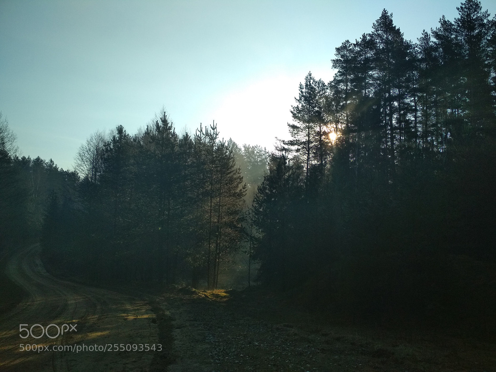 Xiaomi Redmi 4X sample photo. Morning photography