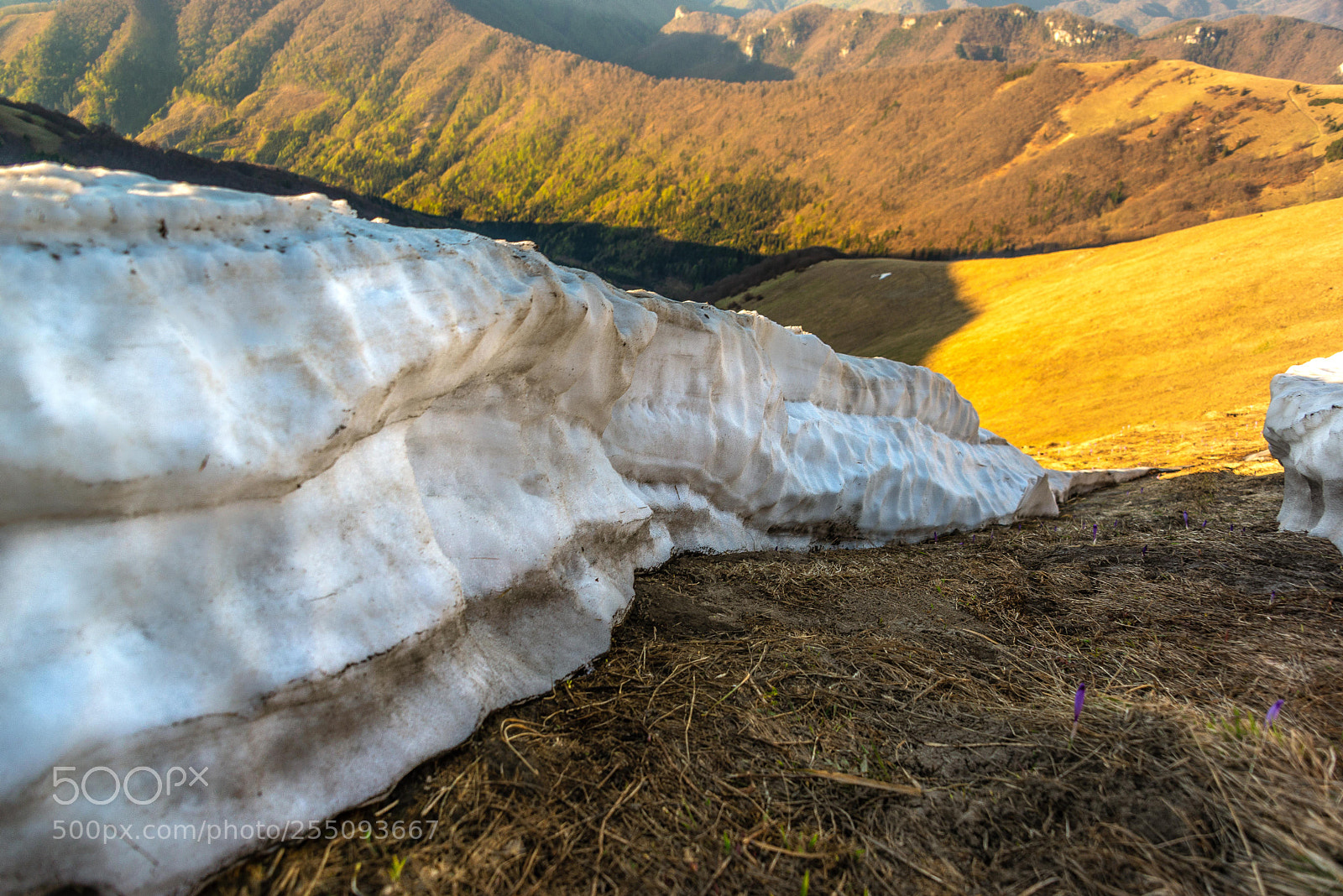 Nikon D610 sample photo. Spring in mountains photography