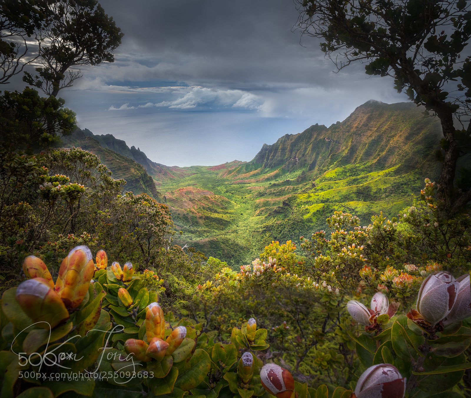 Sony a7R III sample photo. Kalalau valley 1 photography