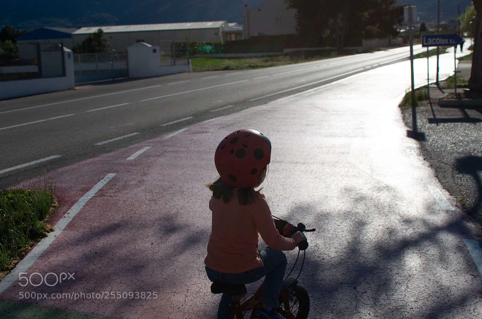 Pentax K-5 IIs sample photo. Starting photography