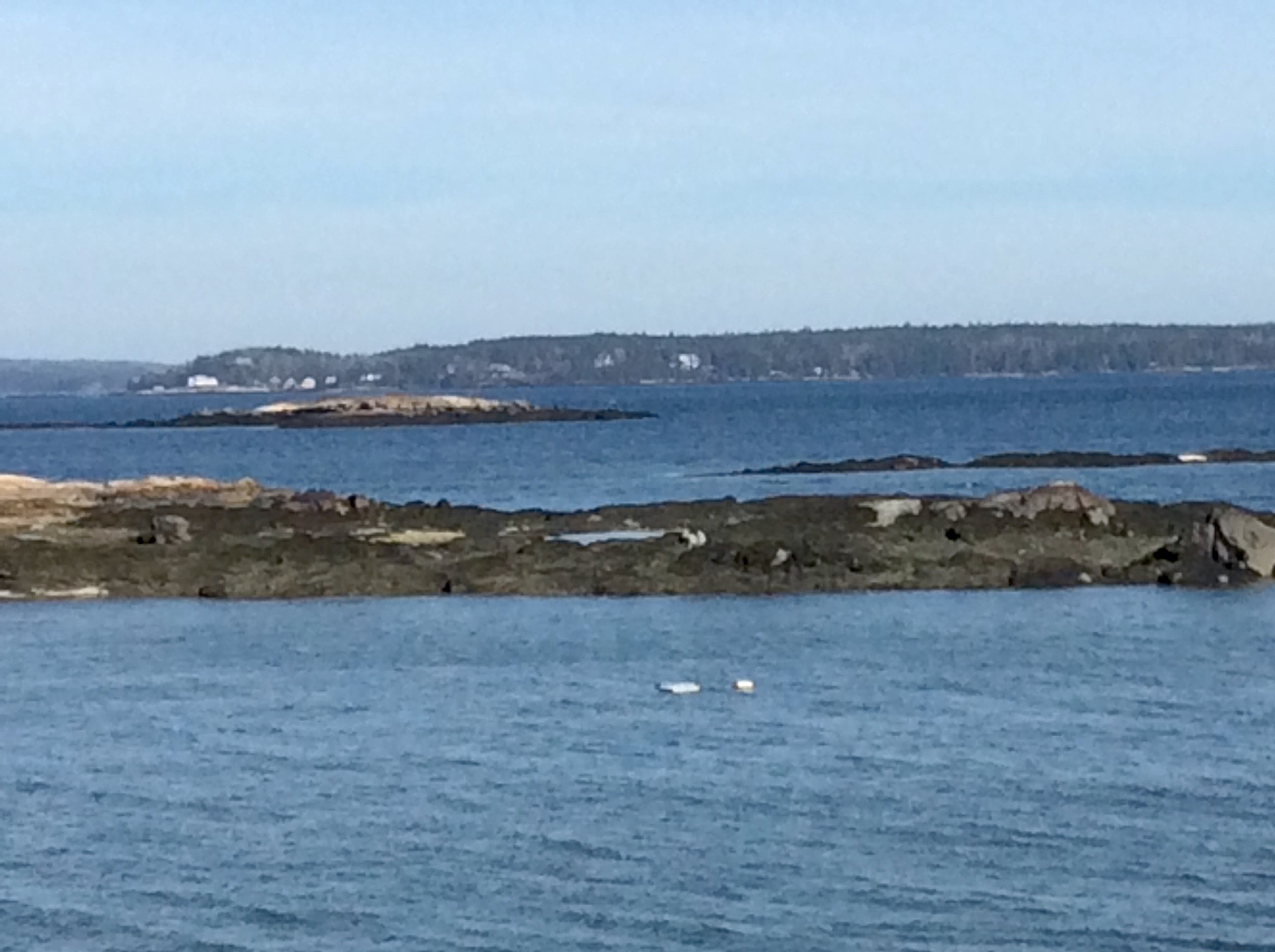 Apple iPad mini 2 sample photo. Islands in maine photography