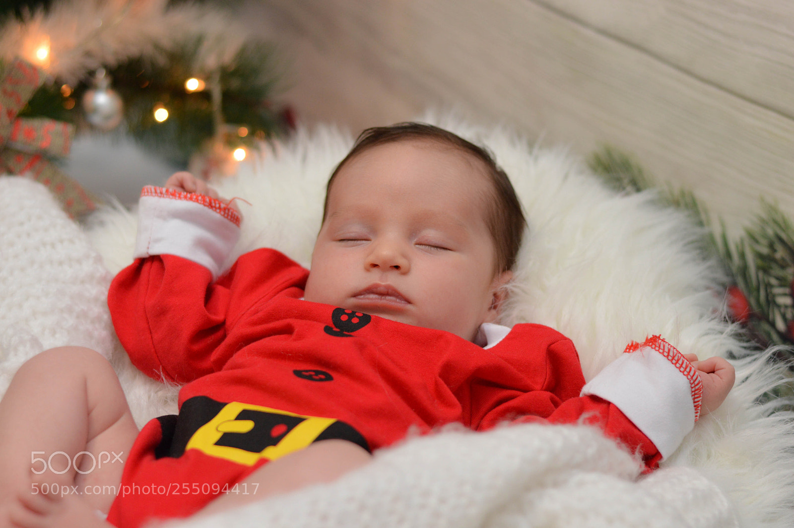 Nikon D3200 sample photo. Lazar photography
