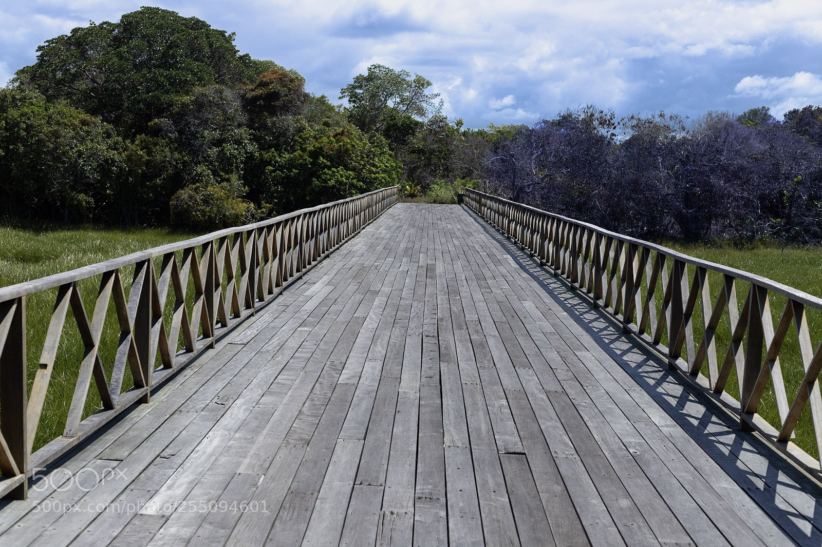 Canon EOS 6D Mark II sample photo. The bridge photography