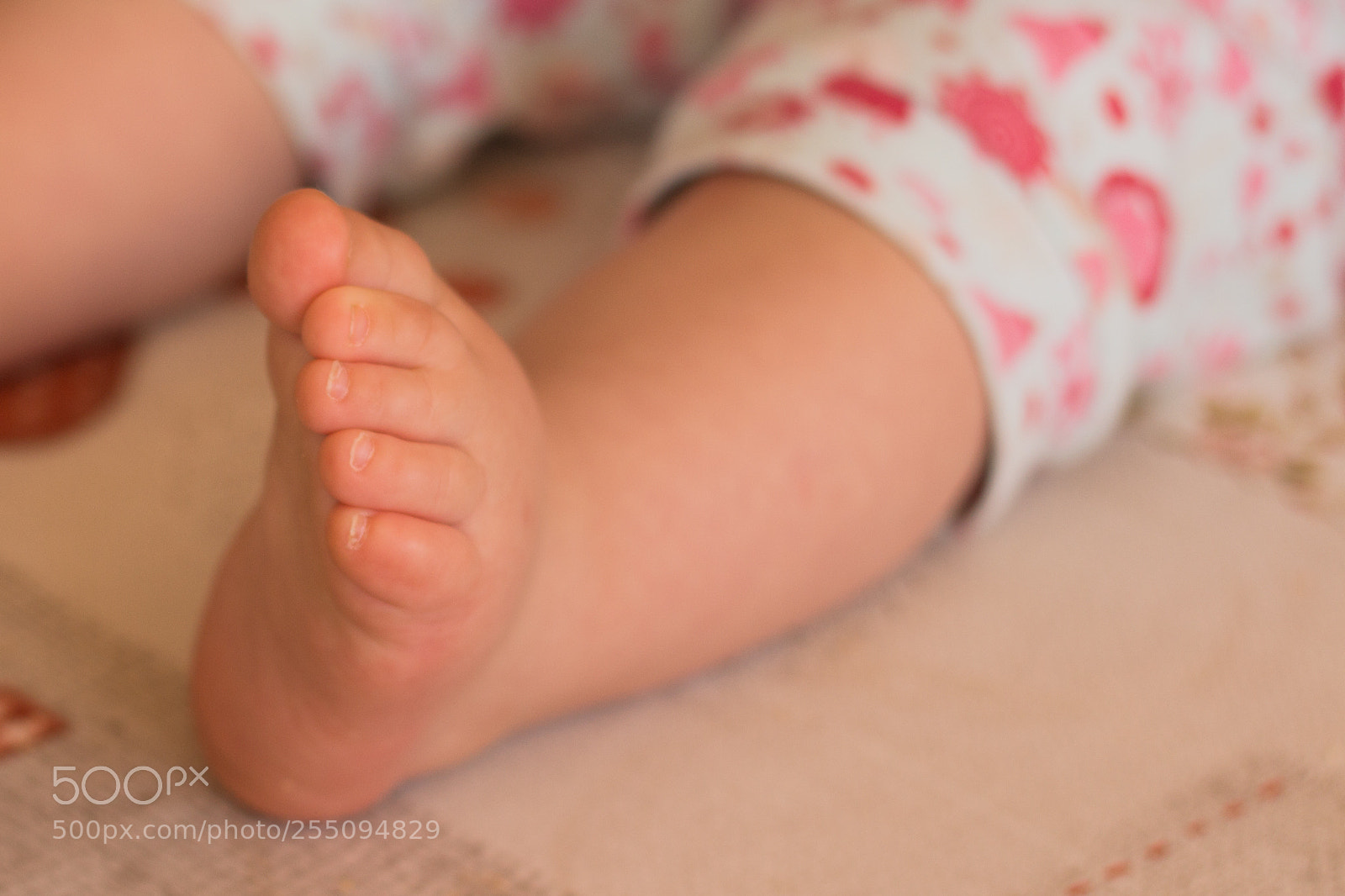 Canon EOS 700D (EOS Rebel T5i / EOS Kiss X7i) sample photo. Pezinhos photography