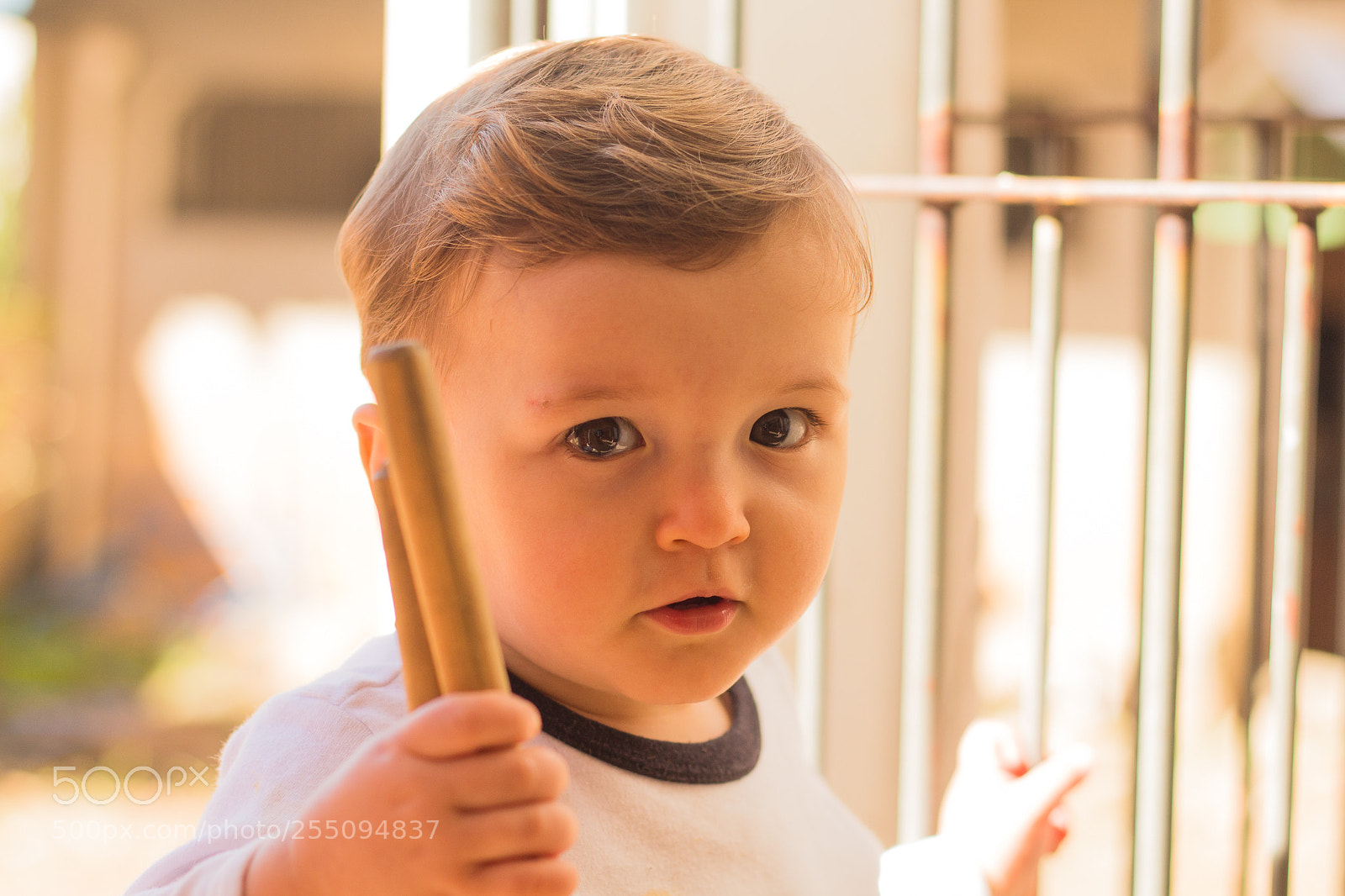 Canon EOS 700D (EOS Rebel T5i / EOS Kiss X7i) sample photo. Brinquedo predileto photography