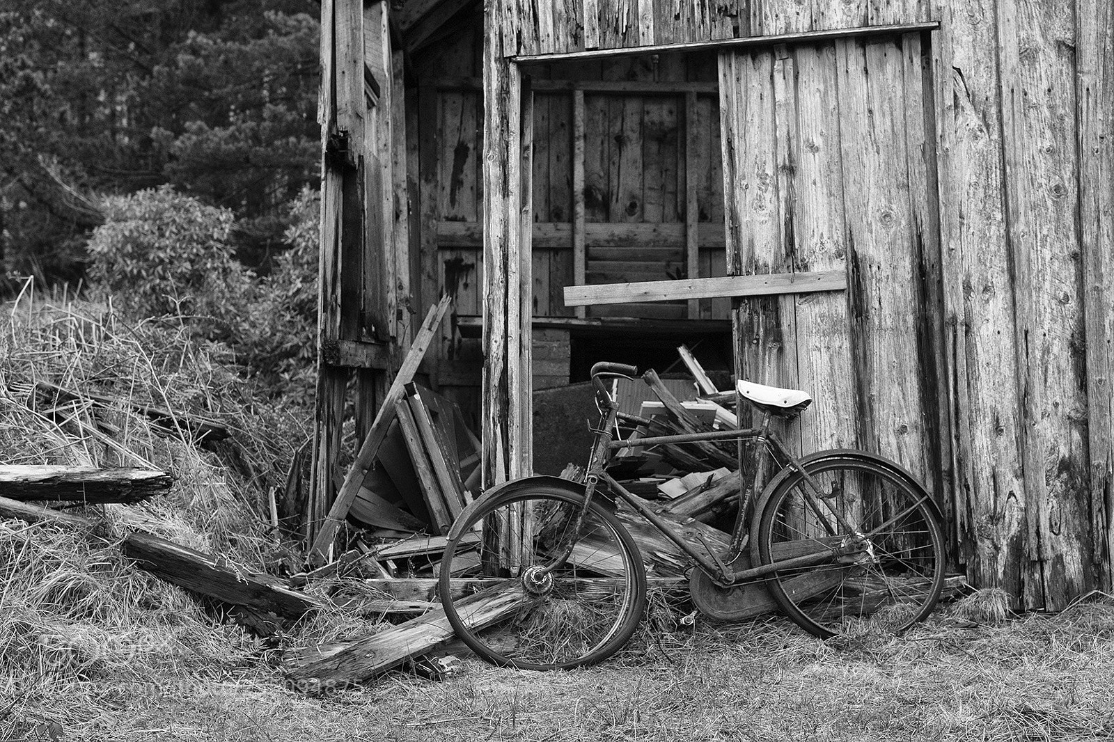 Canon EOS 1200D (EOS Rebel T5 / EOS Kiss X70 / EOS Hi) sample photo. Shed and bike photography