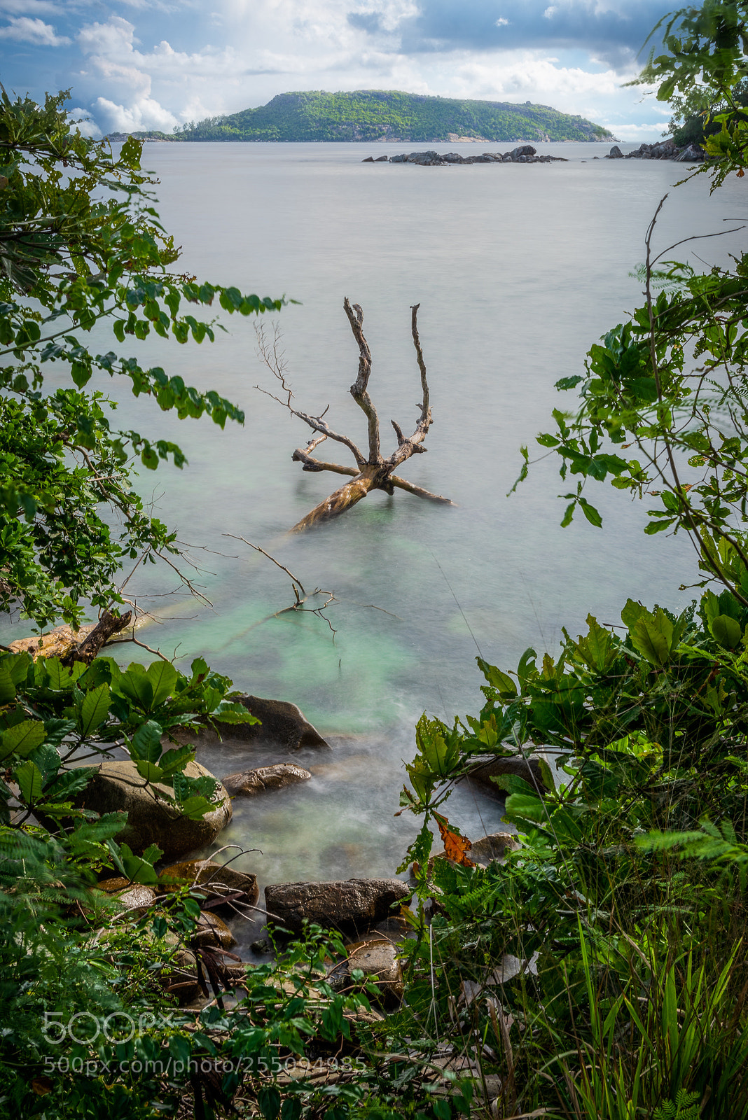 Nikon D810 sample photo. Drowned world photography