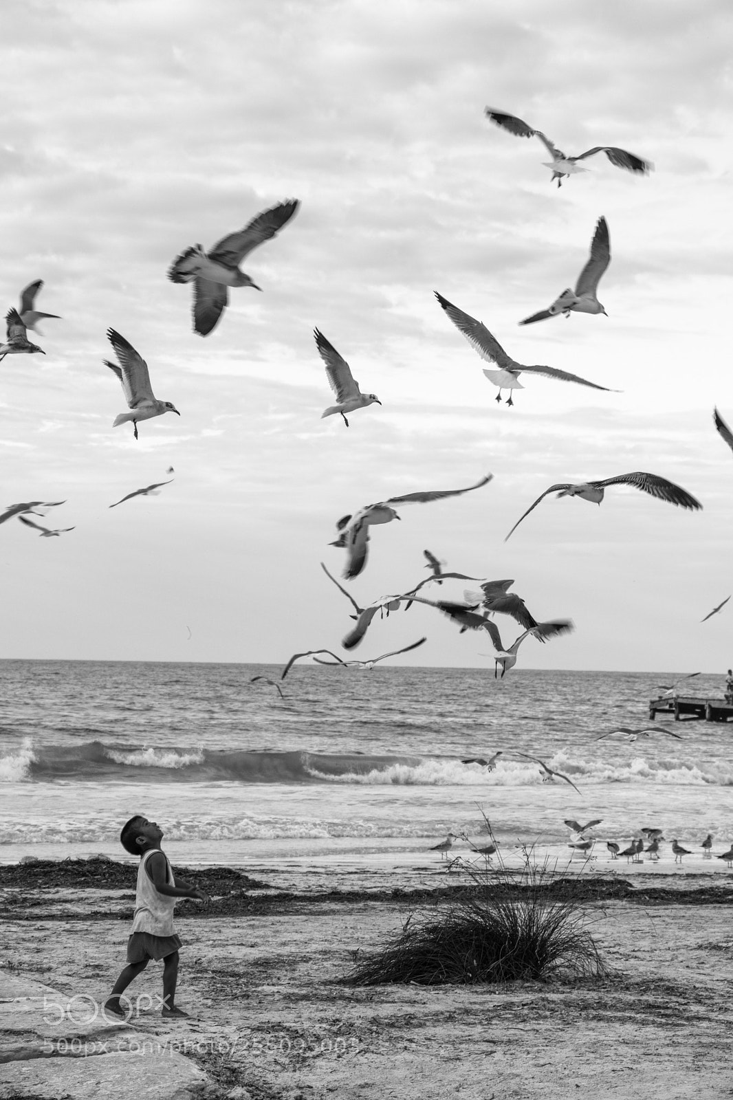 Canon EOS 800D (EOS Rebel T7i / EOS Kiss X9i) sample photo. Ana abedrop º vesp photography