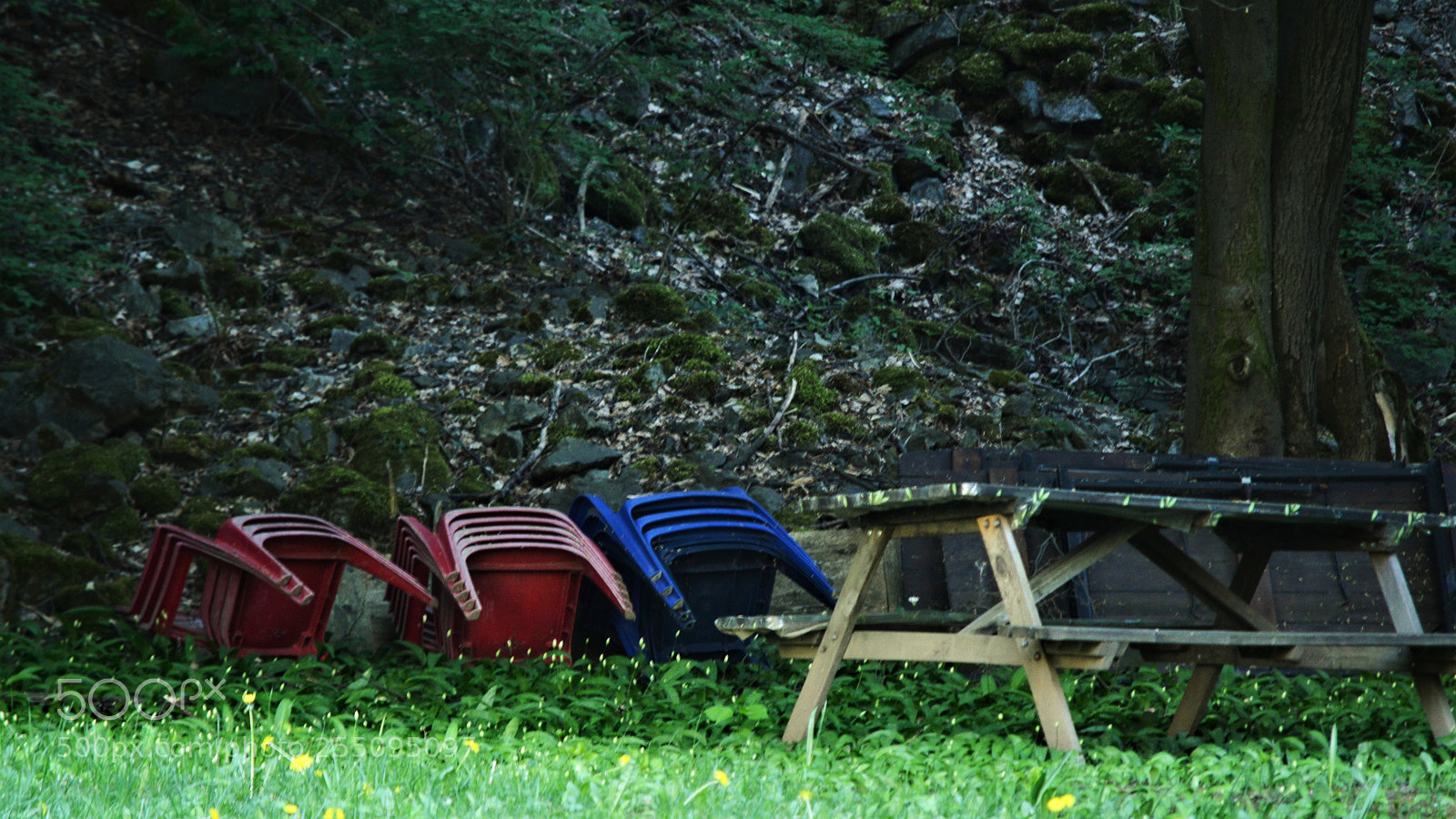 Nikon D3200 sample photo. Untitled photography
