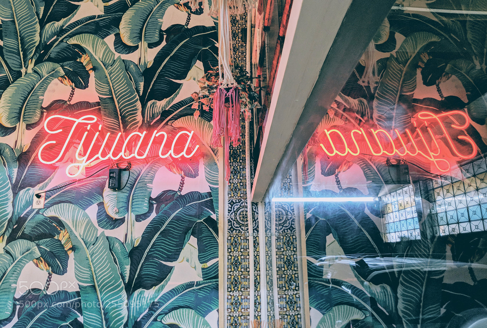 Google Pixel 2 XL sample photo. Tijuana photography
