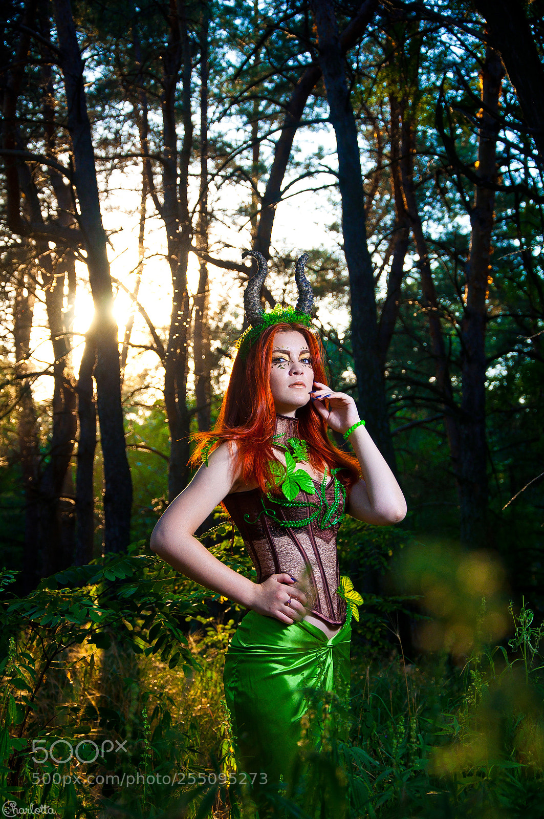 Nikon D90 sample photo. Dryad photography
