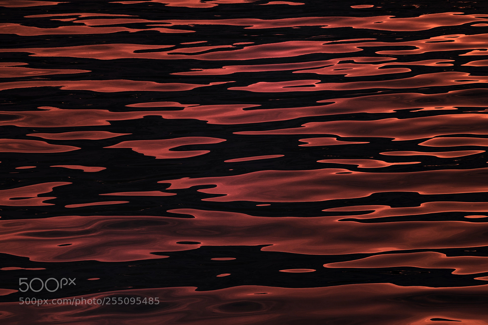 Canon EOS 5D Mark IV sample photo. Red sea photography