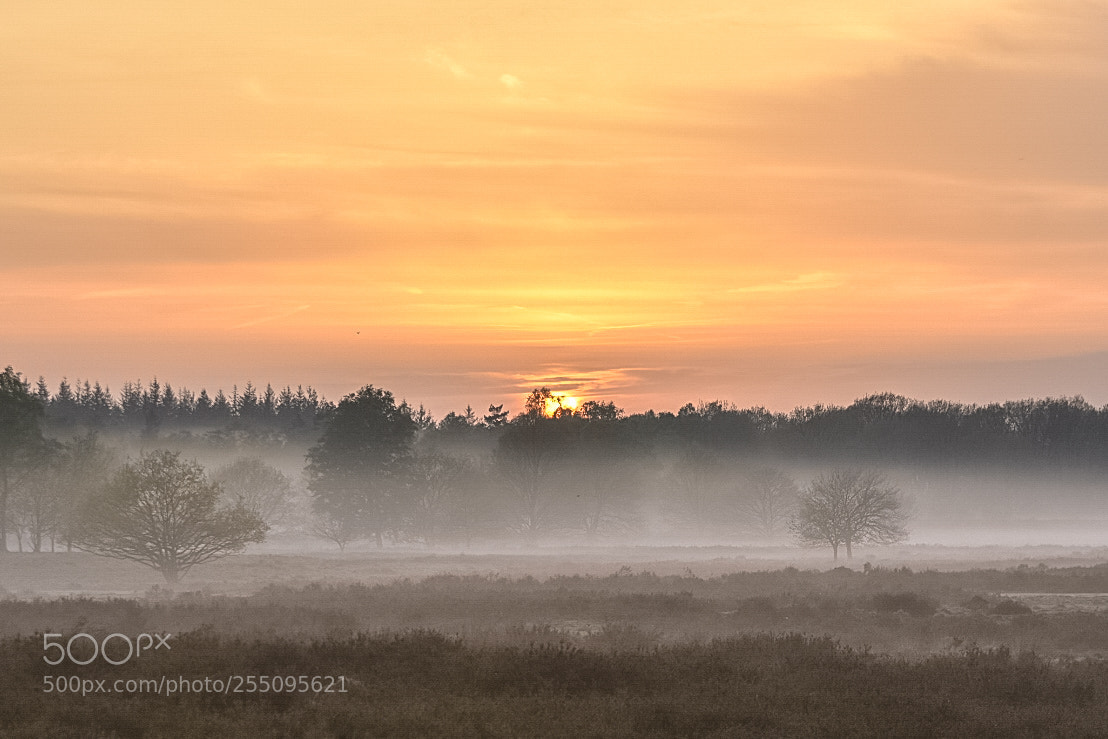 Nikon D7200 sample photo. Foggy sunset after heavy photography