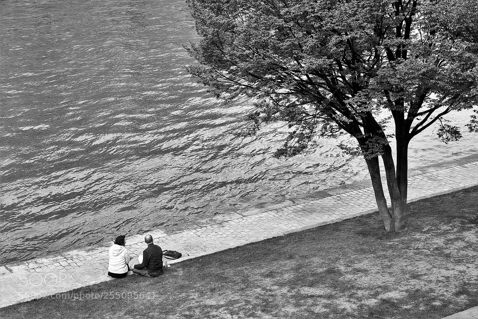 Leica M (Typ 240) sample photo. Along the seine photography