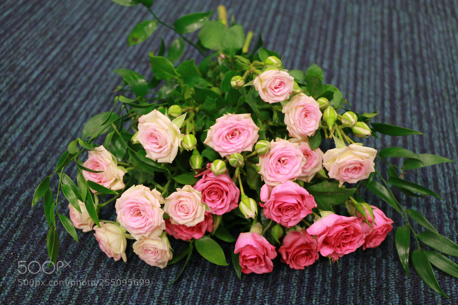 Canon EOS 70D sample photo. Roses photography