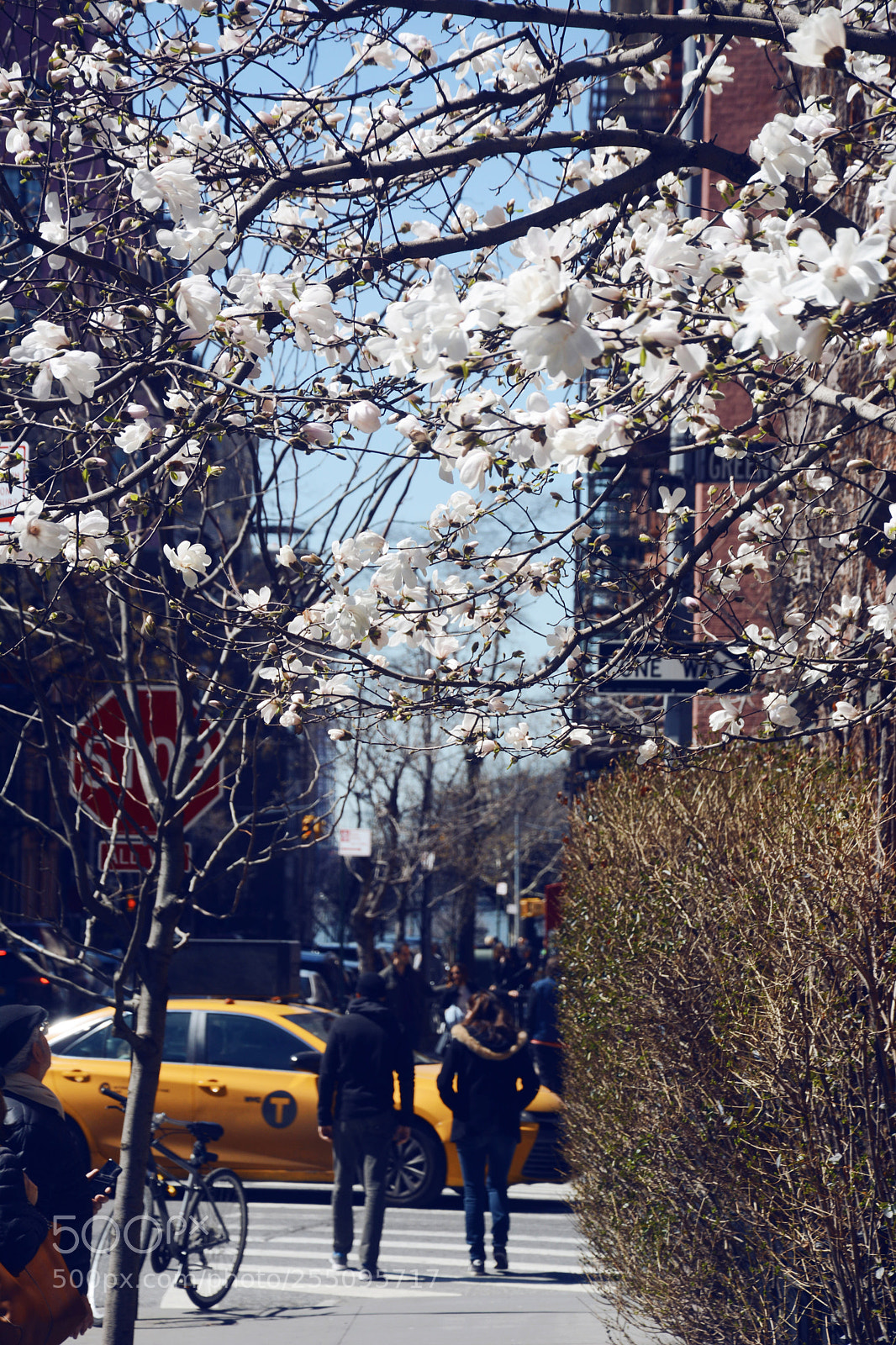 Nikon D7100 sample photo. New york photography