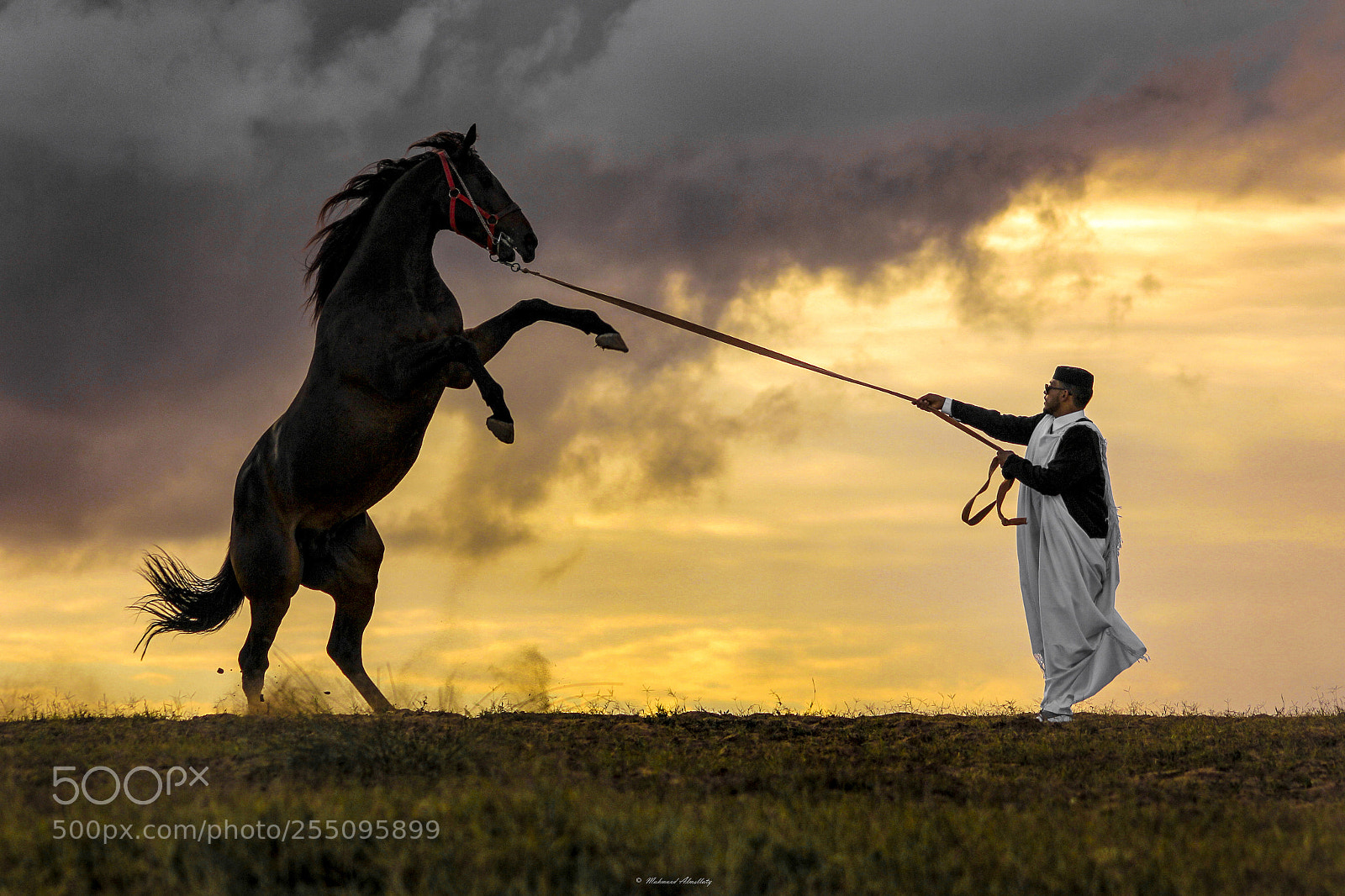 Canon EOS 60D sample photo. Sunset knight and horse photography