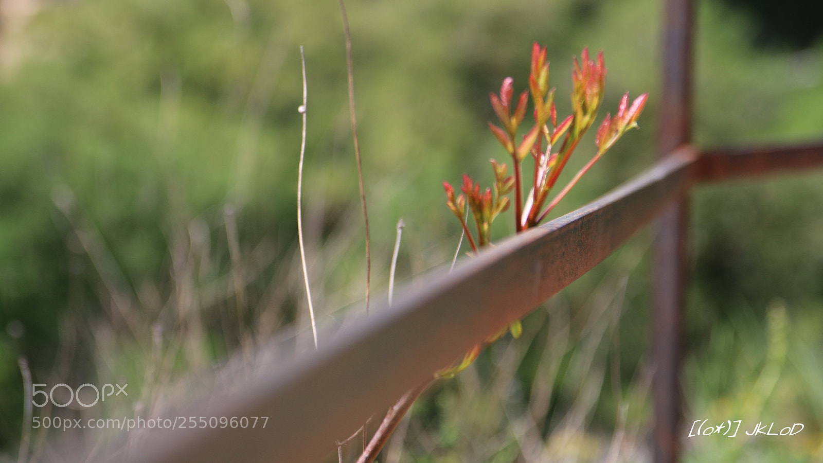 Canon EOS 70D sample photo. Leading lines photography