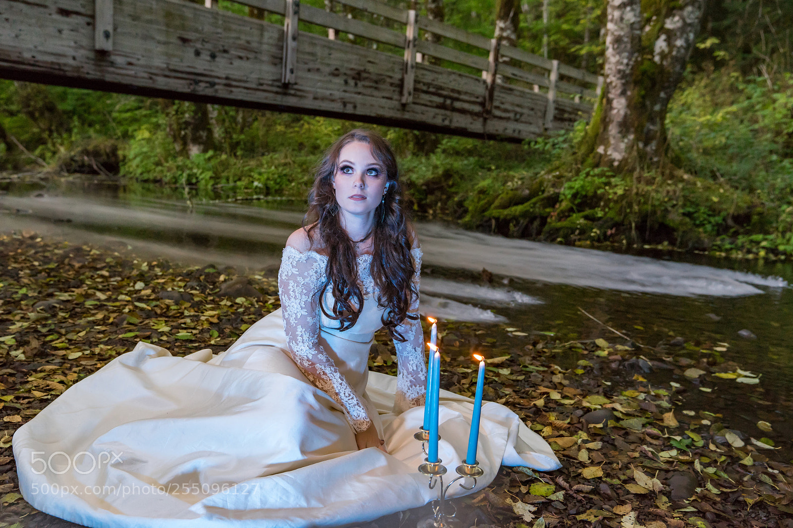 Sony a7 II sample photo. Enchanted forest photography
