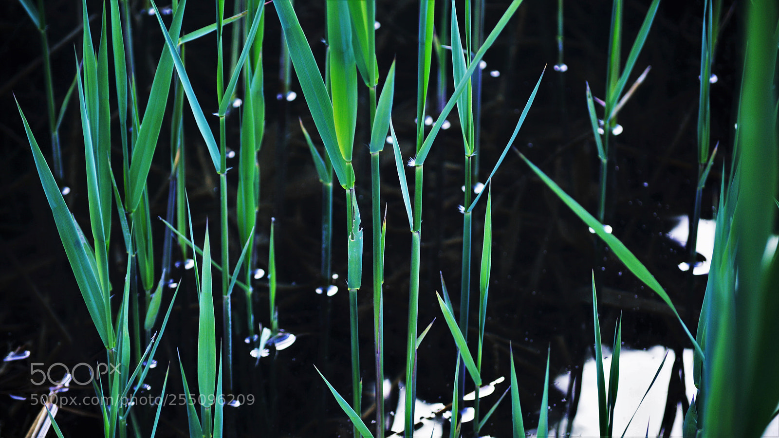 Nikon D3200 sample photo. Untitled photography